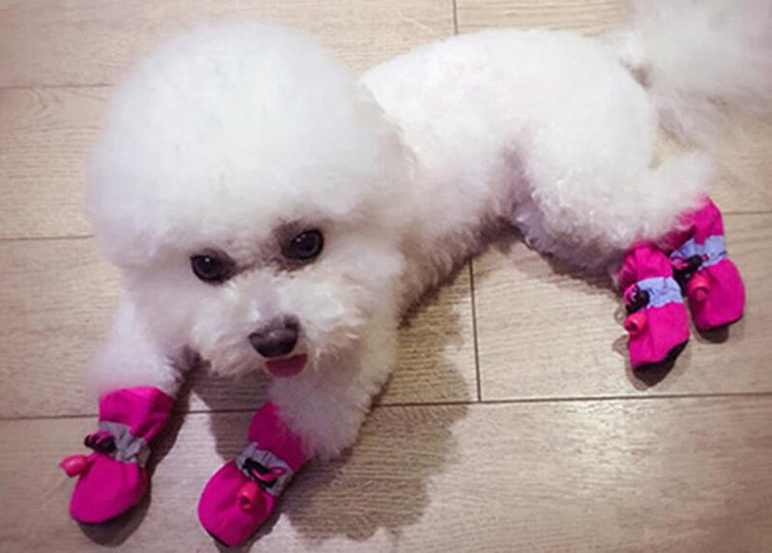 anti Slip Dog Socks Shoes Adjustable Drawstring Boot Paw Protectors for Small Medium Pets Cats Pink 3X-Large
