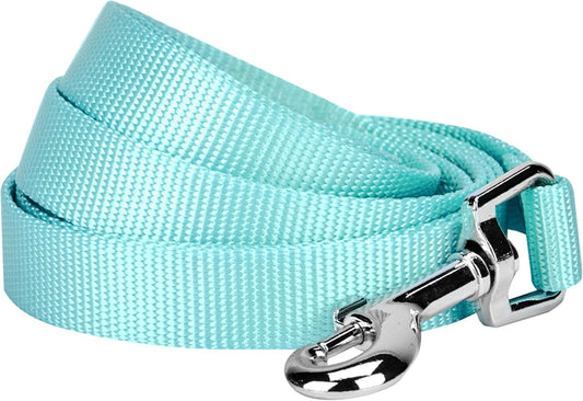 Essentials Mint Blue Dog Leash for Small -5' * 5/8" Dogs | Heavy Duty Nylon Lead | Lightweight Puppy & Cat Leash for Walking & Training