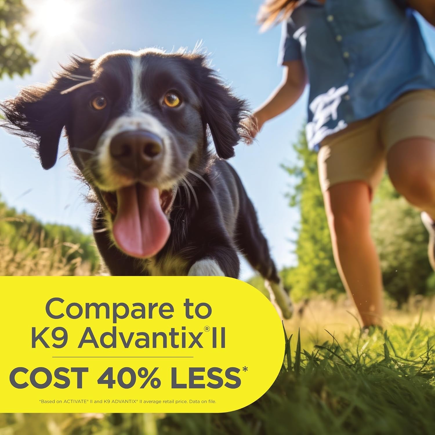Activate II Flea and Tick Prevention for Dogs | 4 Count | Medium Dogs 11-20 Lbs | Topical Drops | 4 Months Flea Treatment