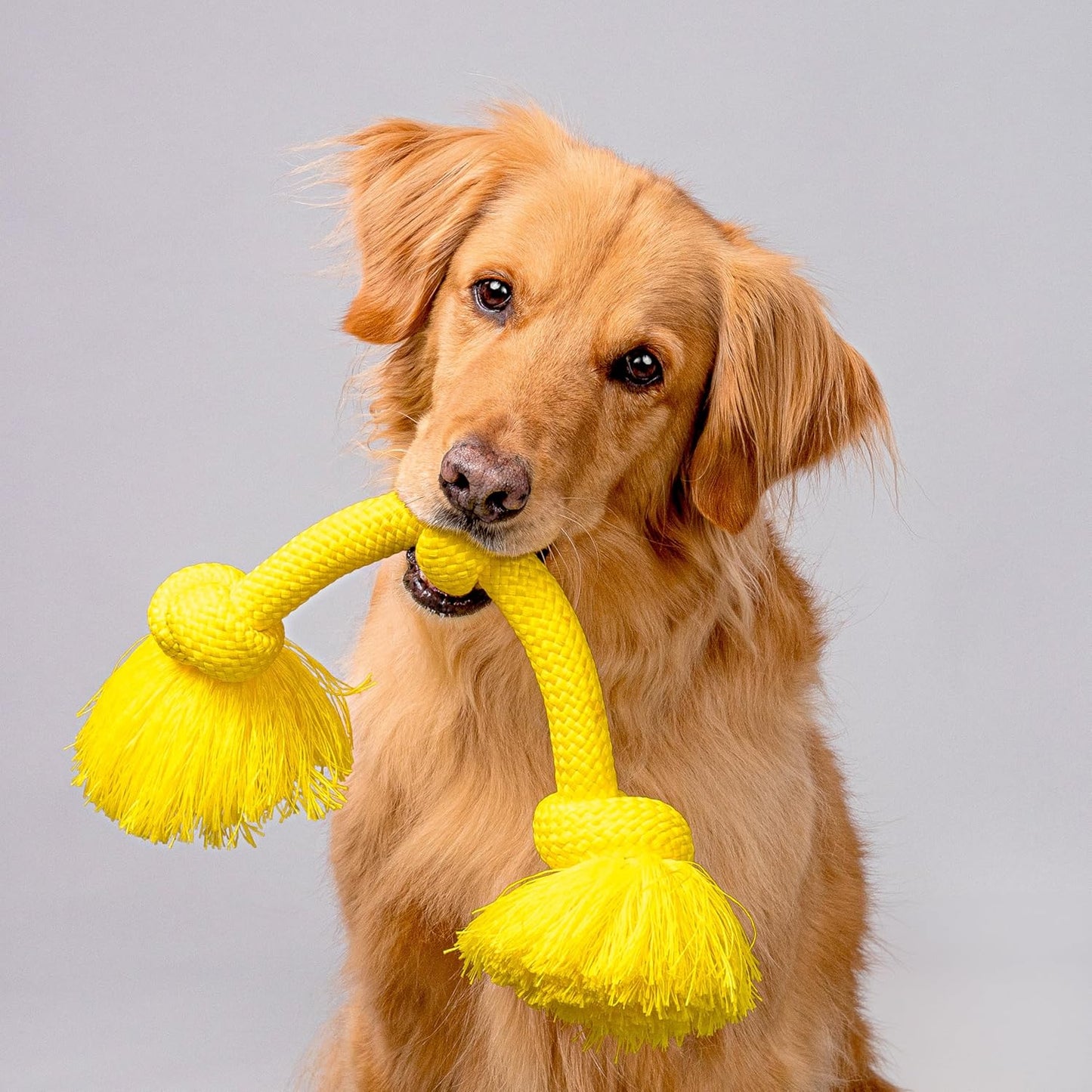 Rope Toys for Dogs | Tug of War Dog Toy for Aggressive Chewers | Chicken Scented Dog Toys | Jumbo Rope Toy for Interactive Play