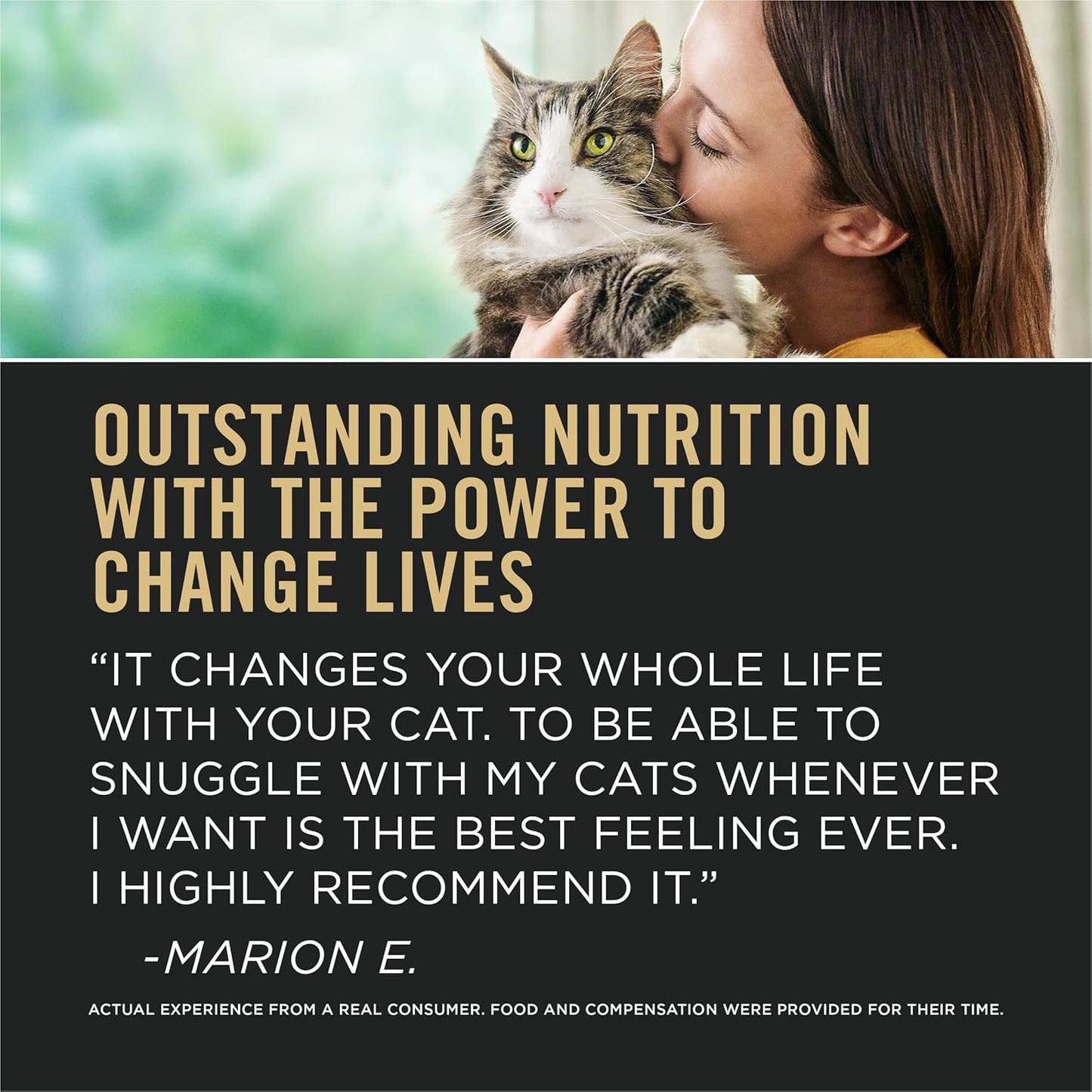 Allergen Reducing, Sensitive Skin & Stomach, High Protein Cat Food, LIVECLEAR Turkey and Oatmeal Formula - 5.5 Lb. Bag