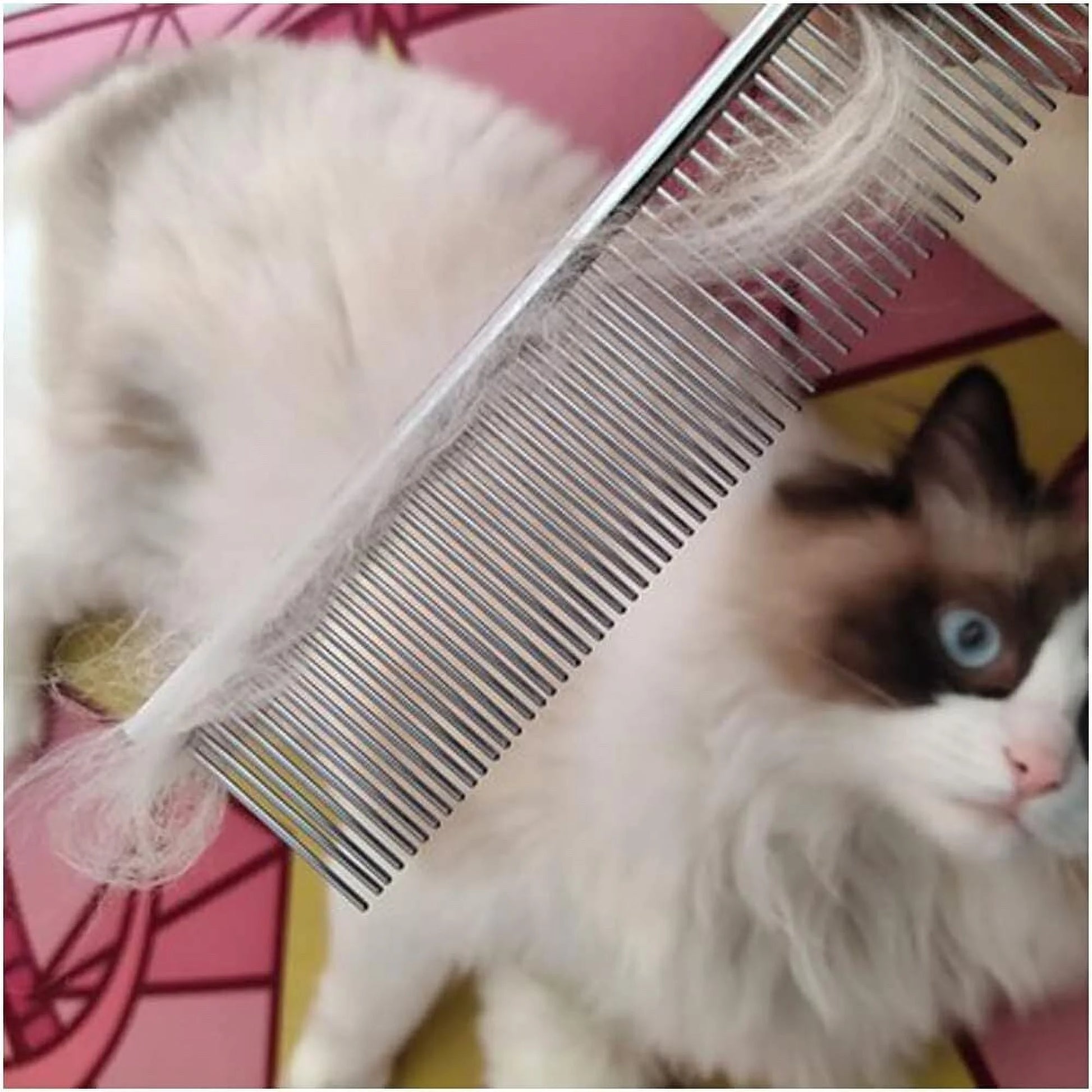 2 Pack Dog Combs with Rounded Ends Stainless Steel Teeth, Cat Comb for Removing Tangles and Knots, Professional Grooming Tool for Long and Short Haired Dog, Cat and Other Pets, 7.5IN/6.3IN