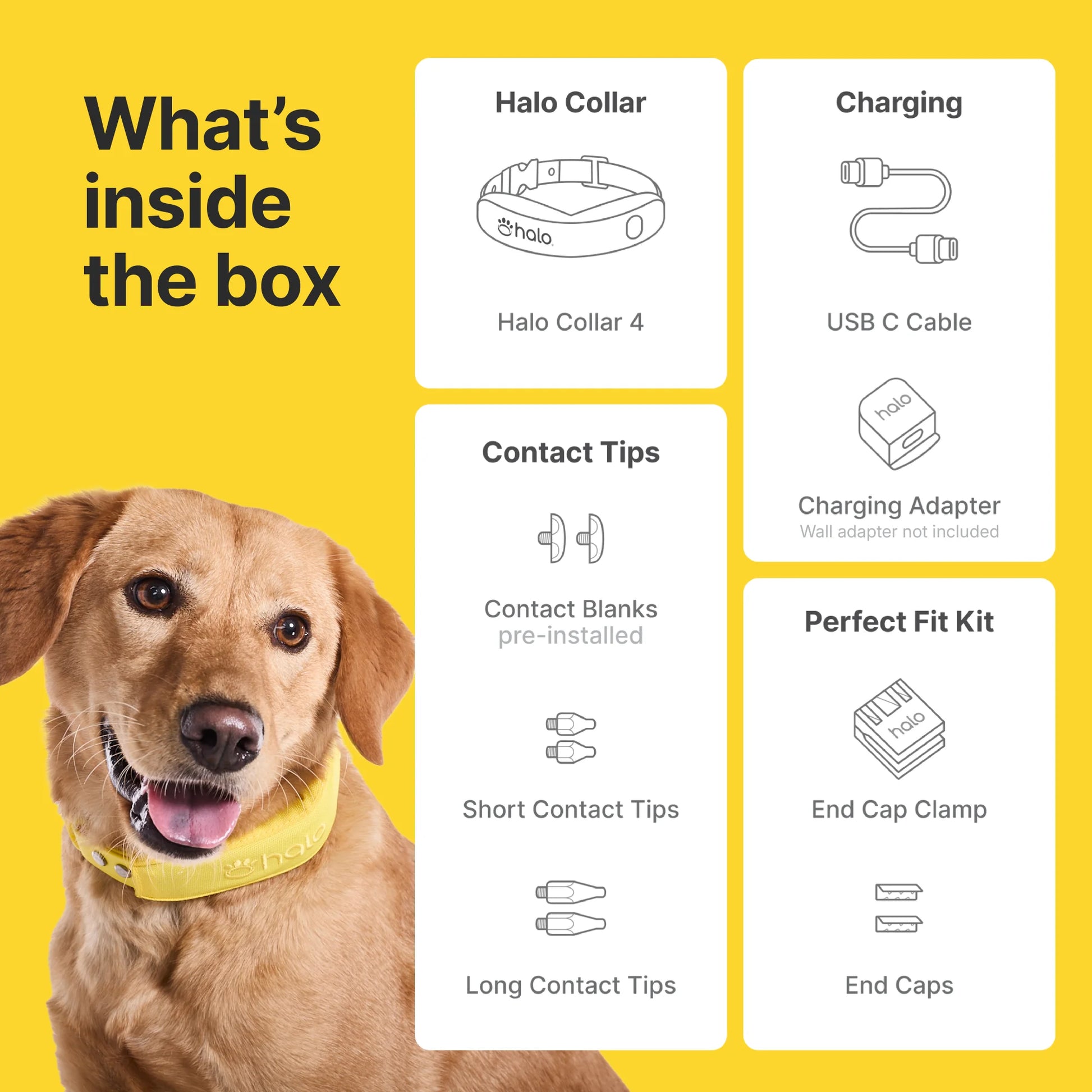 Halo Collar 4, All New GPS Wireless Dog Fence with Real-Time Tracking (Orchid)