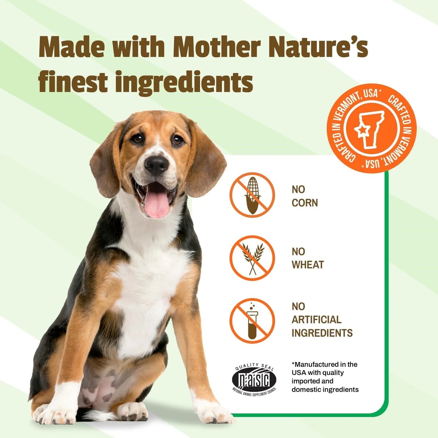 Daily Probiotic Chews for Dogs 60/Pkg