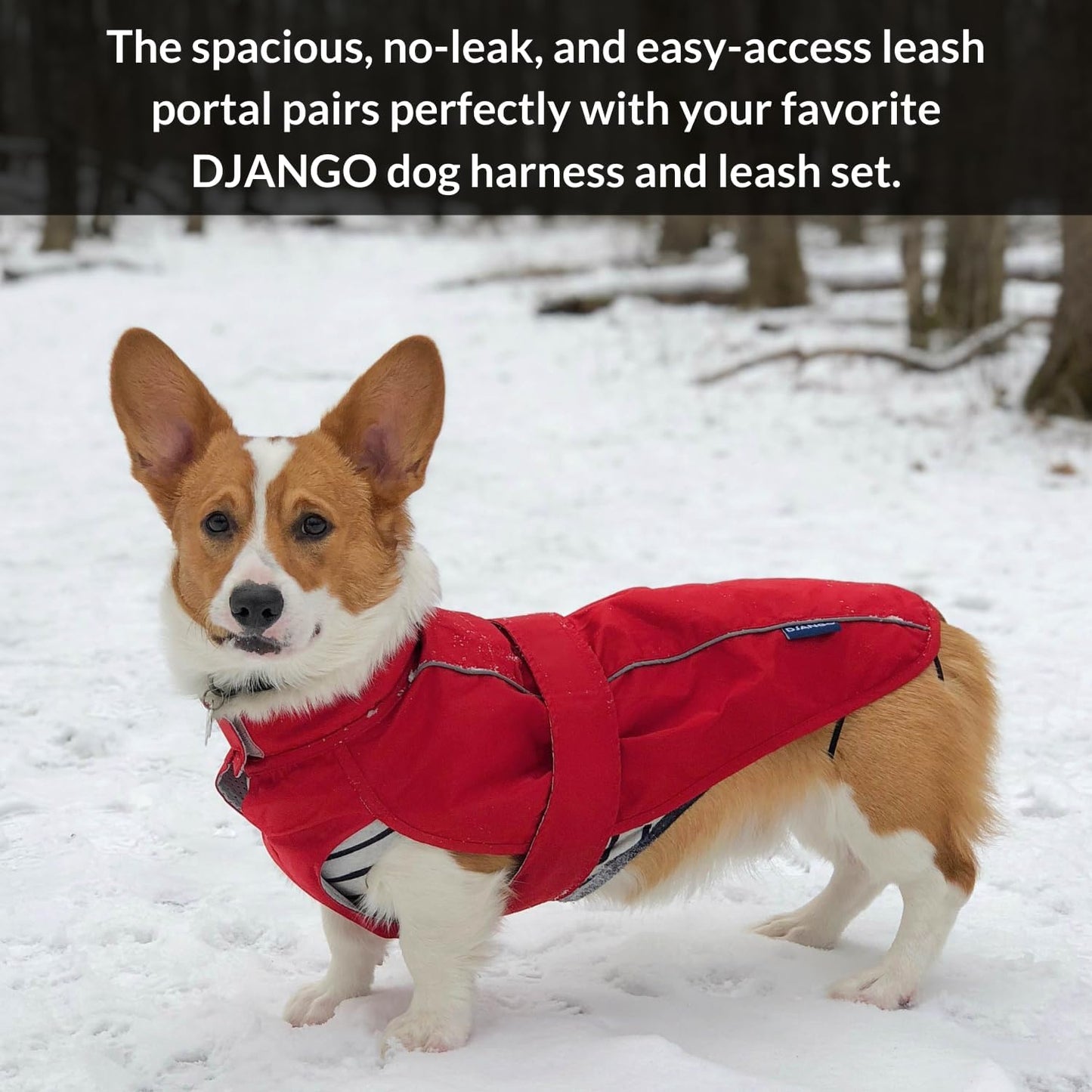 Dog Jacket & Raincoat – Lightweight Water-Resistant Coat for Small, Medium & Long Dogs like Dachshunds – Reflective, Adjustable Fit, Harness-Compatible & Easy-Access Harness Hole - Red, Small