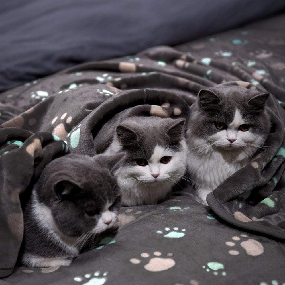 350 Gsm-Super Soft and Premium Fuzzy Flannel Fleece Pet Dog Blanket, the Cute Print Design Washable Fluffy Blanket for Puppy Cat Kitten Indoor Outdoor, Grey, 40 X 32 Inches