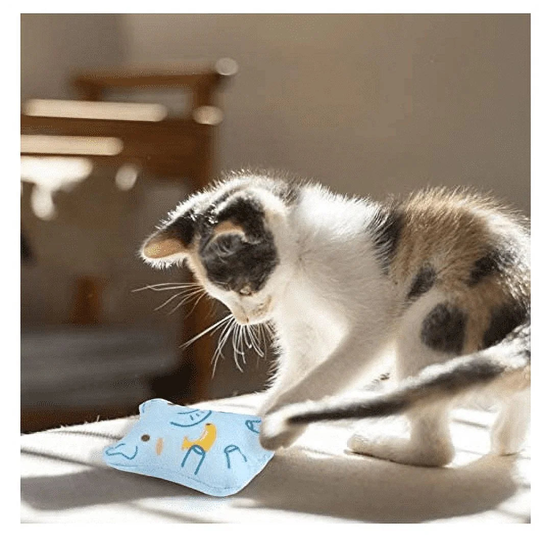 Catnip Toys for Cats - Plush Toys Cat Chew Toys Teething Interactive for Kitten 5 PCS