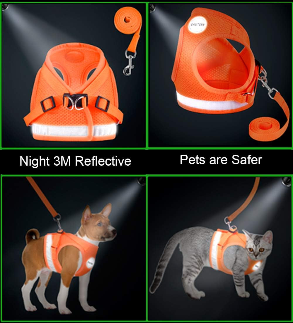 Cat Harnesses and Puppy Harness with Leashes Set, Escape Proof Cat Harness, Adjustable Reflective Soft Mesh Vest Fit Puppy Kitten Rabbit Ferrets'S Outdoor Harness