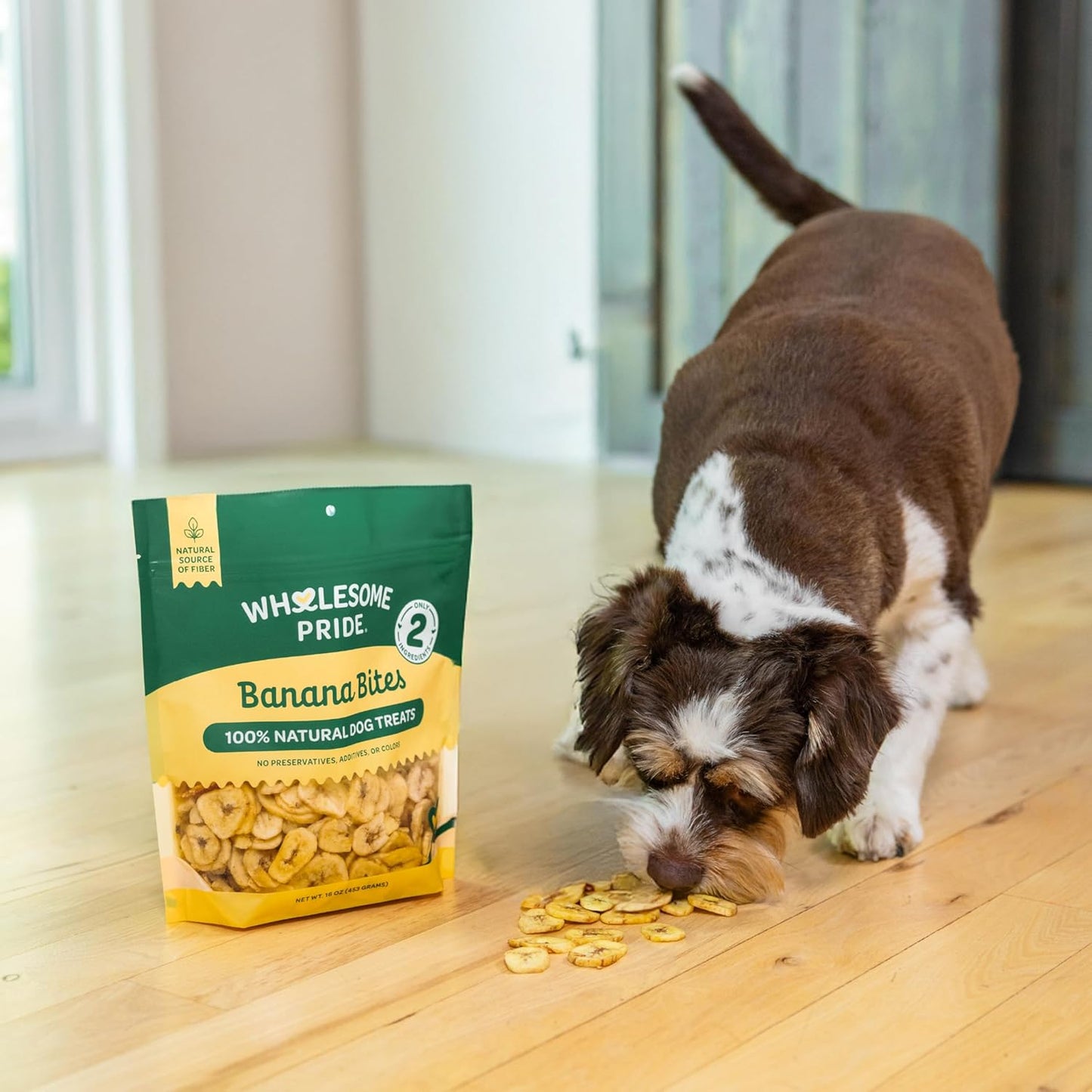 Banana Bites Dog Treats – 2-Ingredient Banana Chips for Dogs, Grain-Free, Banana & Coconut Oil, 8 Oz