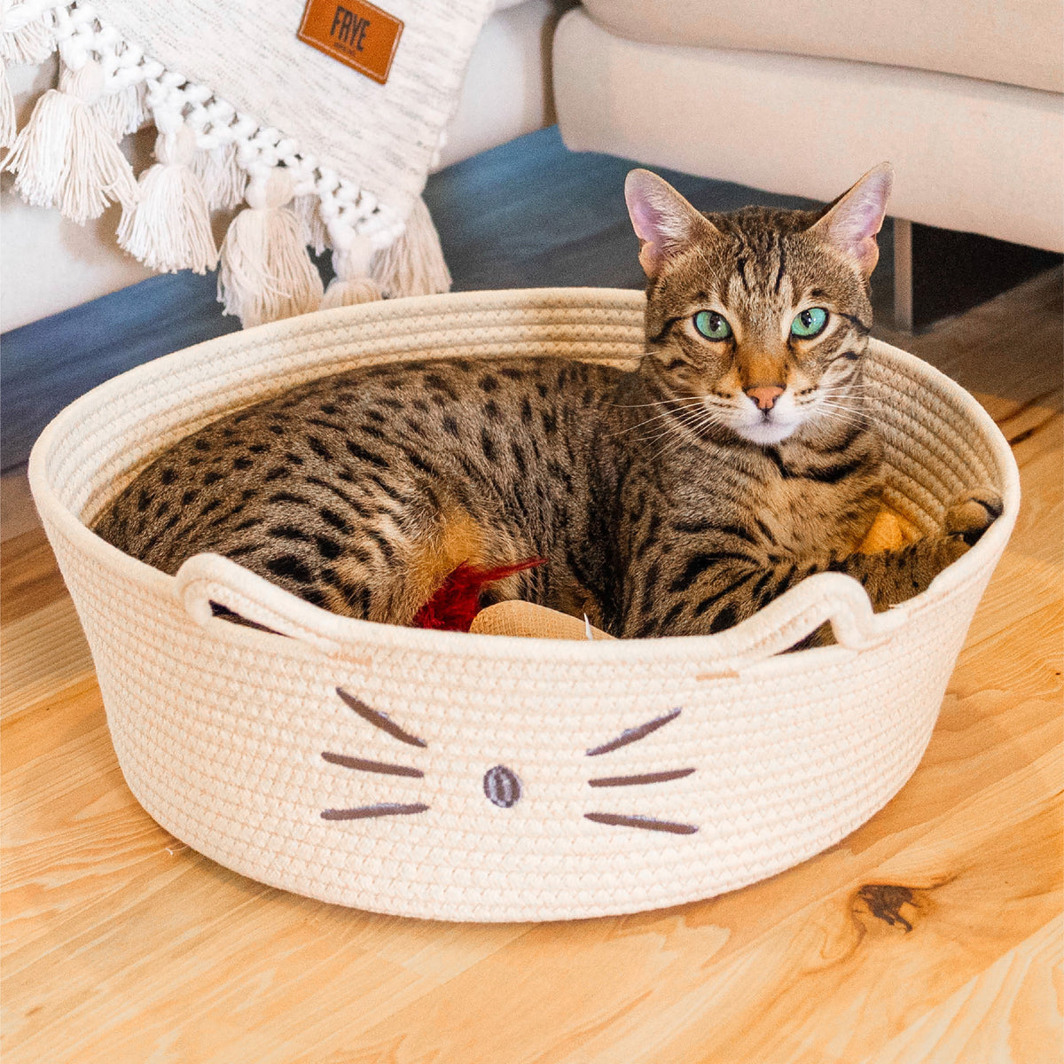 Bed & Basket Retreat 2-In-1 Cat Bed with Removable Cushion, Plush Cotton Rope, White, 15 in – Versatile Pet Bed and Toy Storage Basket