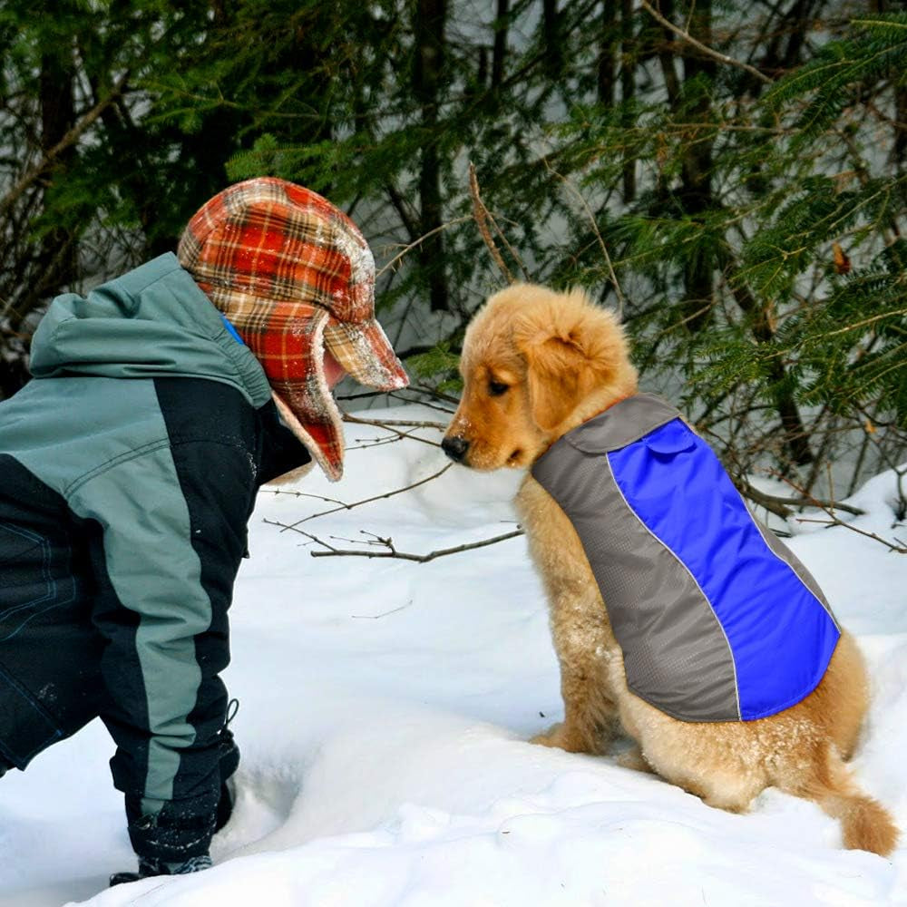Dog Raincoat Waterproof Coats,Dog Jacket High Visibility Warm Vest Dog Clothes for Small Medium Large Dogs(Blue-L)