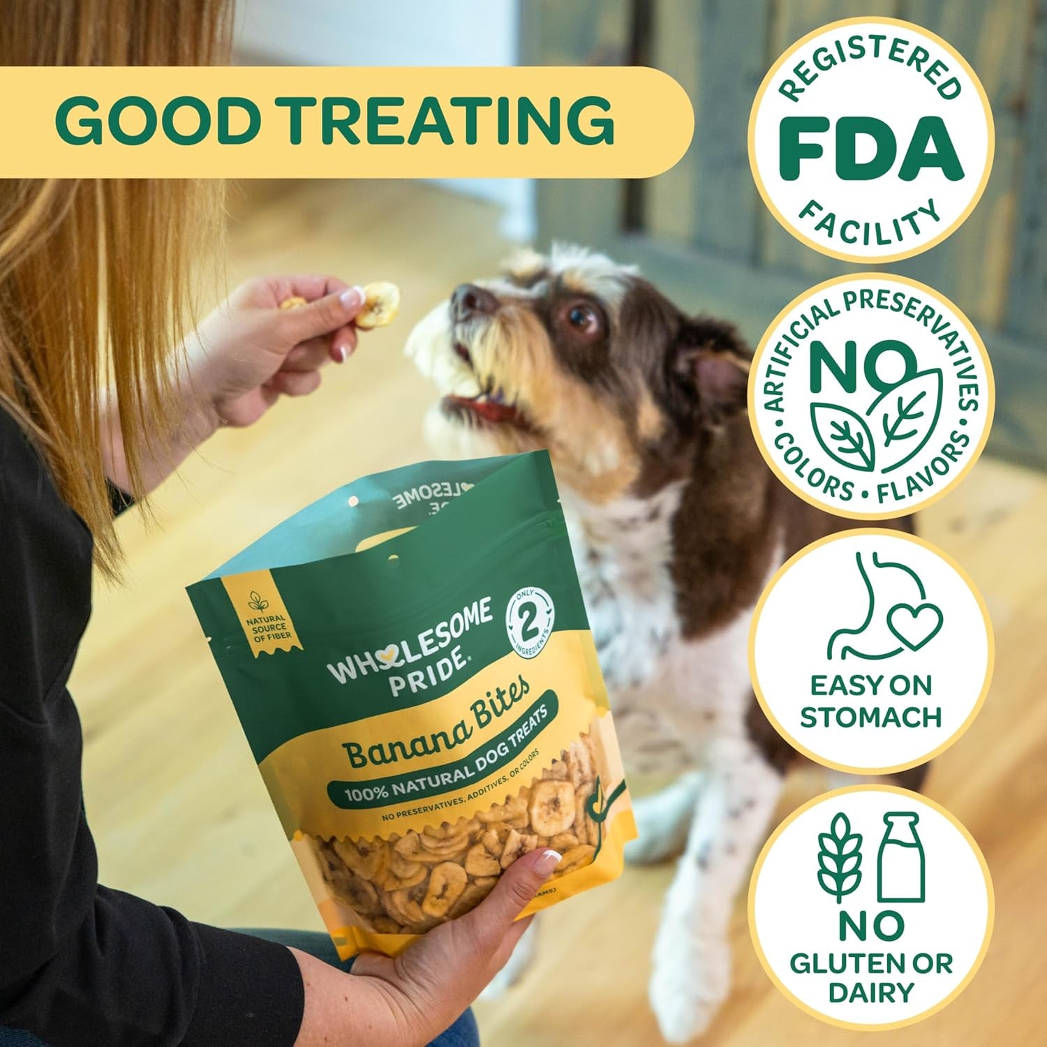 Banana Bites Dog Treats – 2-Ingredient Banana Chips for Dogs, Grain-Free, Banana & Coconut Oil, 8 Oz