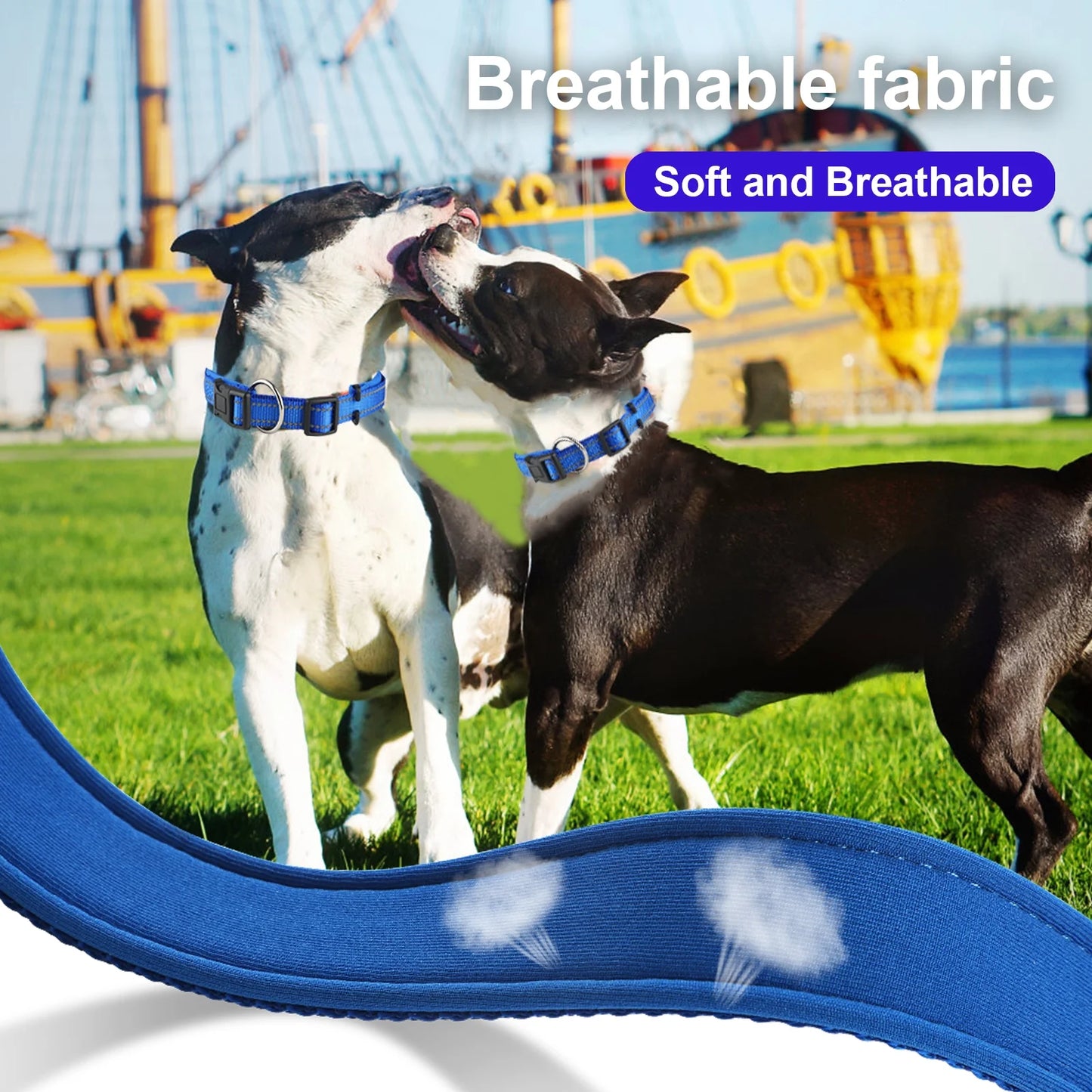 Dog Collar for Small Dog with Tag Reflective Soft Neoprene Padded Breathable and Adjustable Collar, Odour Resistant and Fast Drying-Blue-S