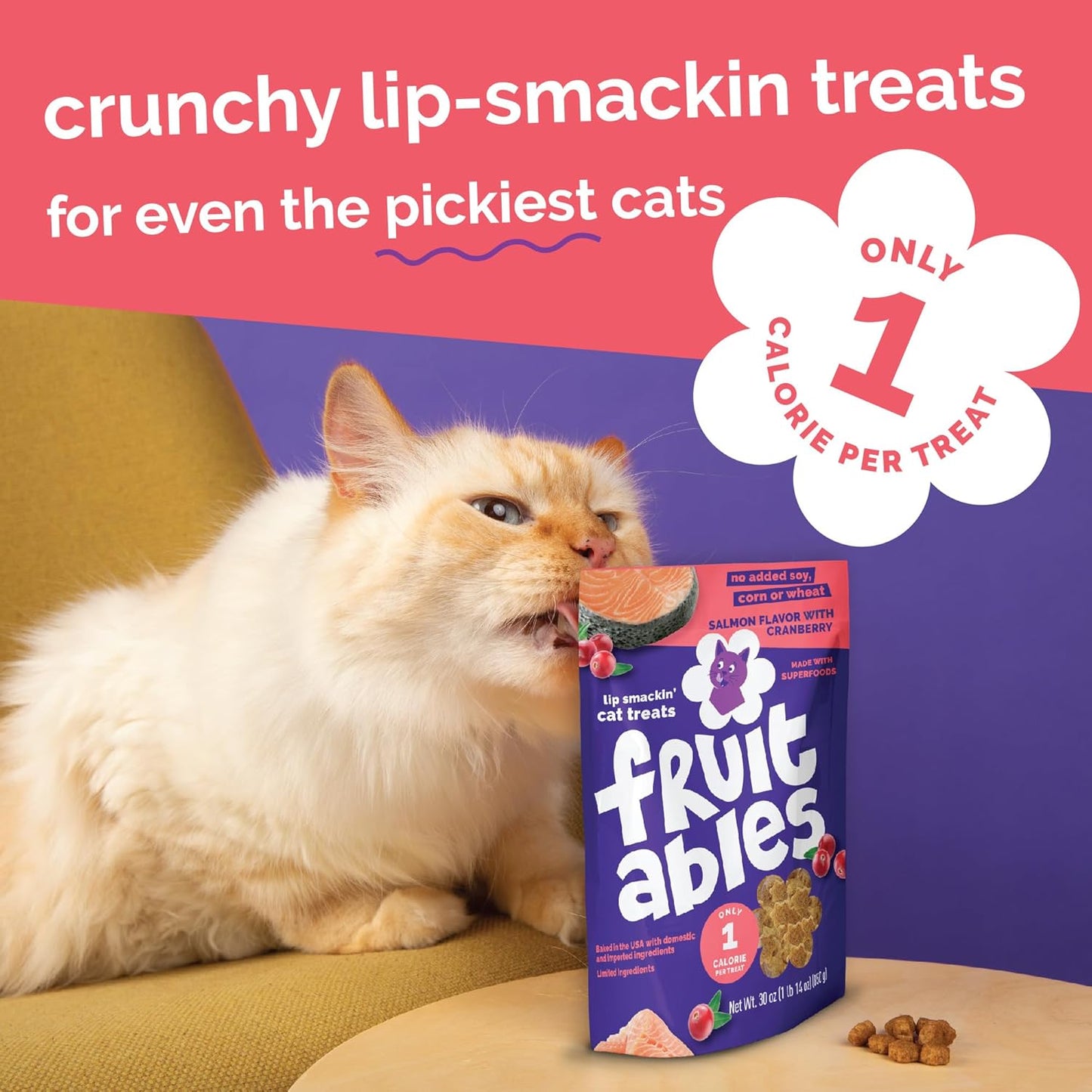 Cat Crunchy Treats for Cats – Healthy Low Calorie Packed with Protein – No Wheat, Corn or Soy – Made with Real Salmon with Cranberry – 2.5 Ounces
