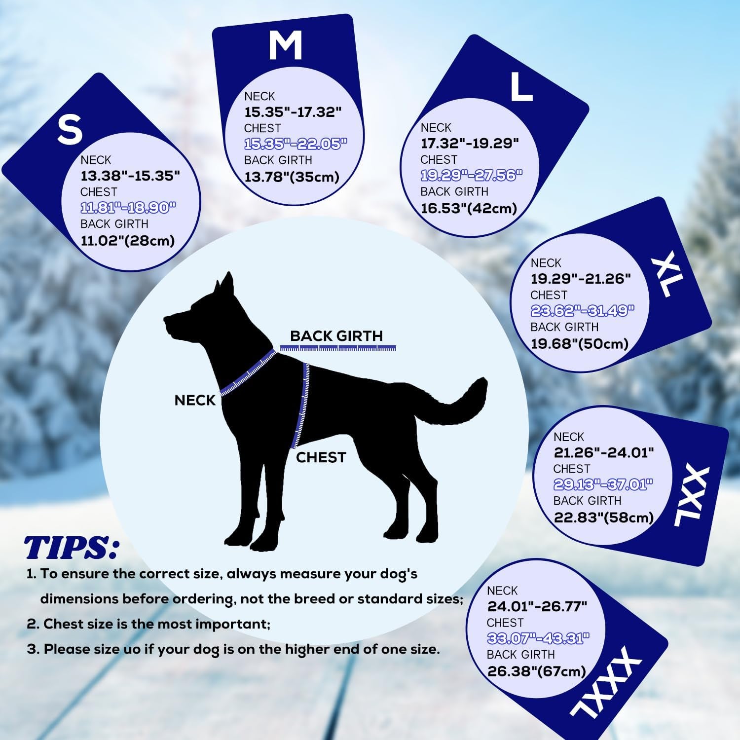 Dog Cold Weather Coats, Fleece Lining Small/Medium/Large Dog Jacket for Winter, Warm Waterproof Pet Winter Clothes for Large Dogs, Blue XL