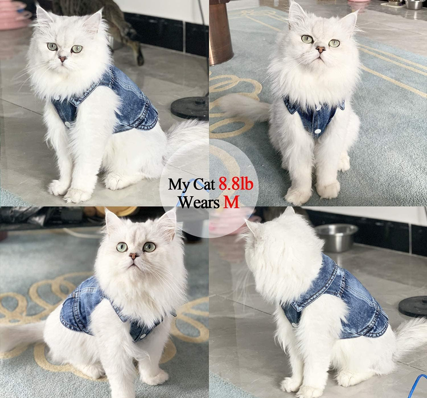 Jean Jacket for Dogs, Blue Denim Lapel Vest Coat Costume, T-Shirt Clothes, Cool and Funny Apparel Outfits, Machine Washable for Small Medium Dogs Cats (XL)