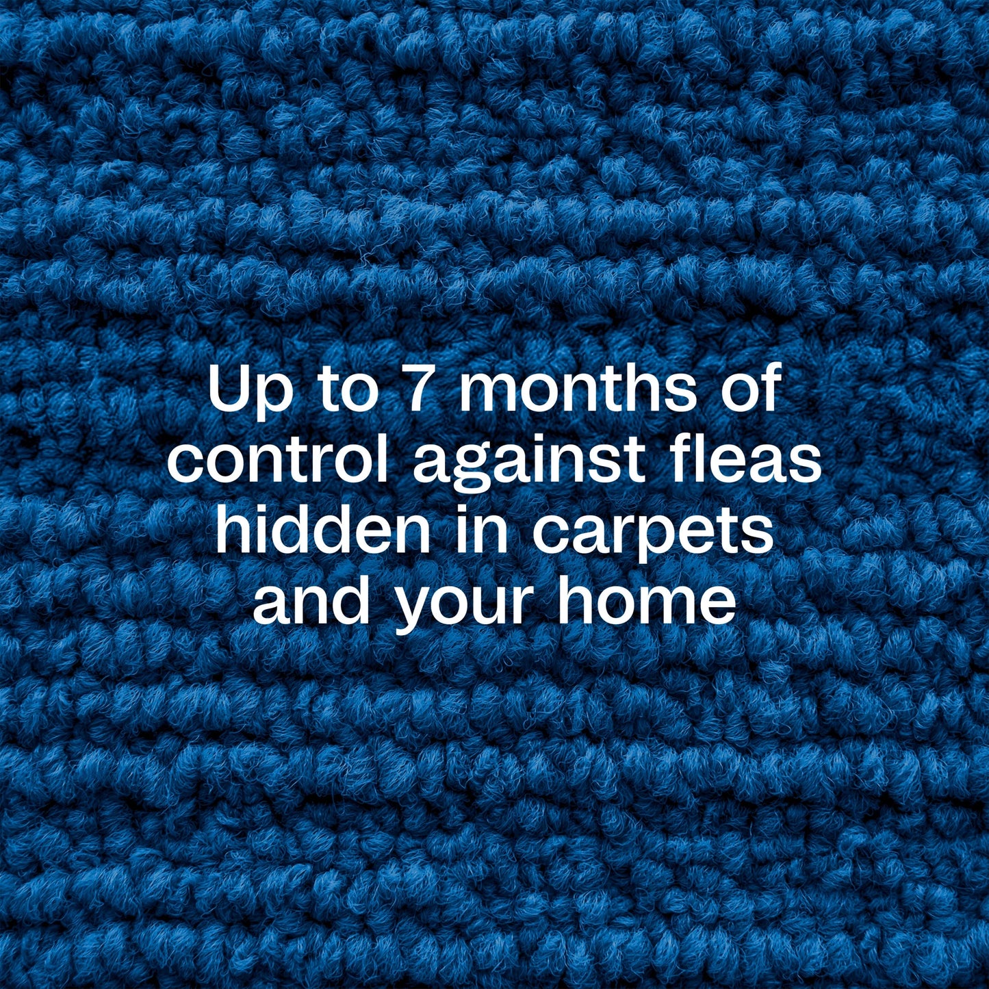 Flea & Tick Carpet & Home Spray, 7-Month Flea Protection, Treats up to 2K Sq Ft, 16 Oz