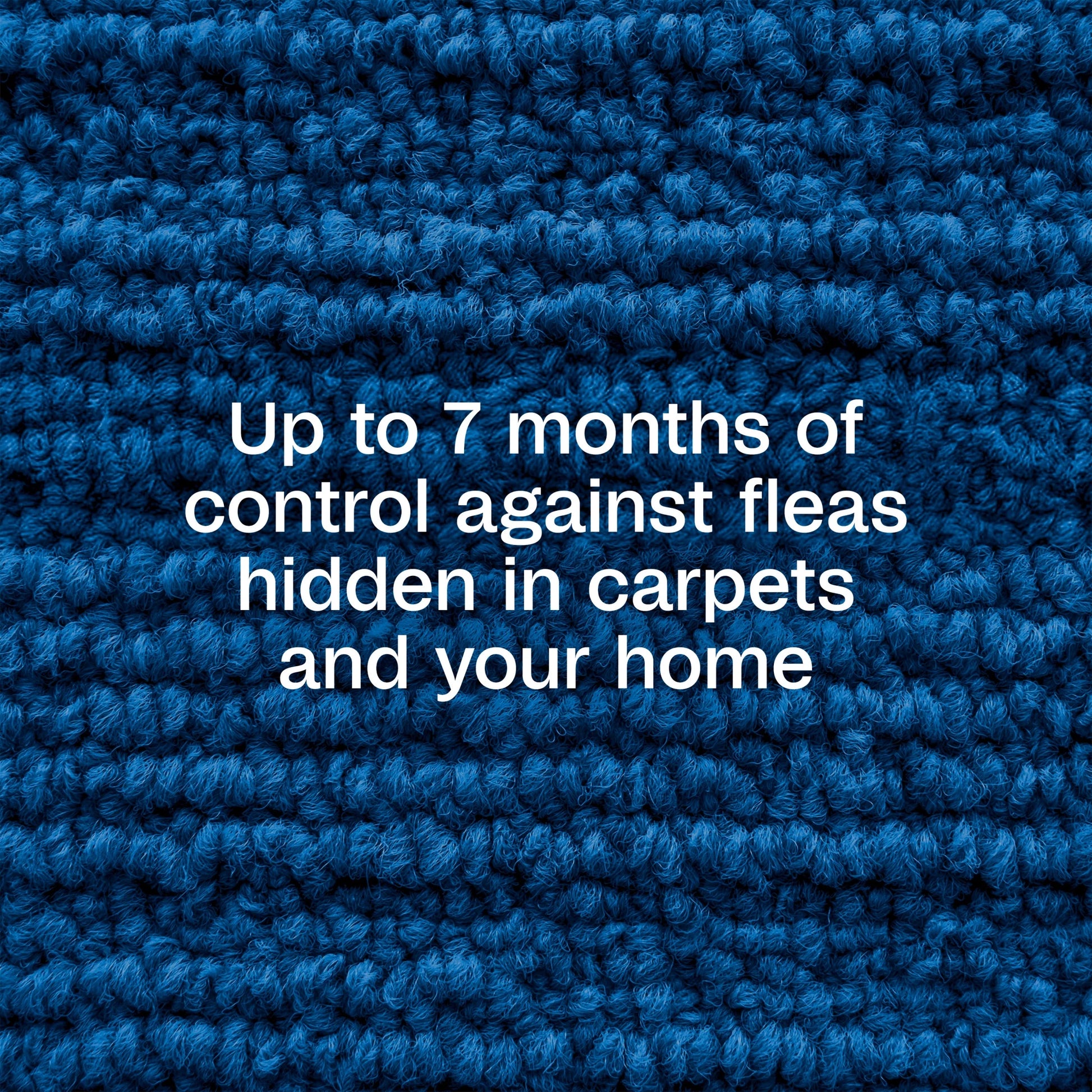 Flea & Tick Carpet & Home Spray, 7-Month Flea Protection, Treats up to 2K Sq Ft, 16 Oz