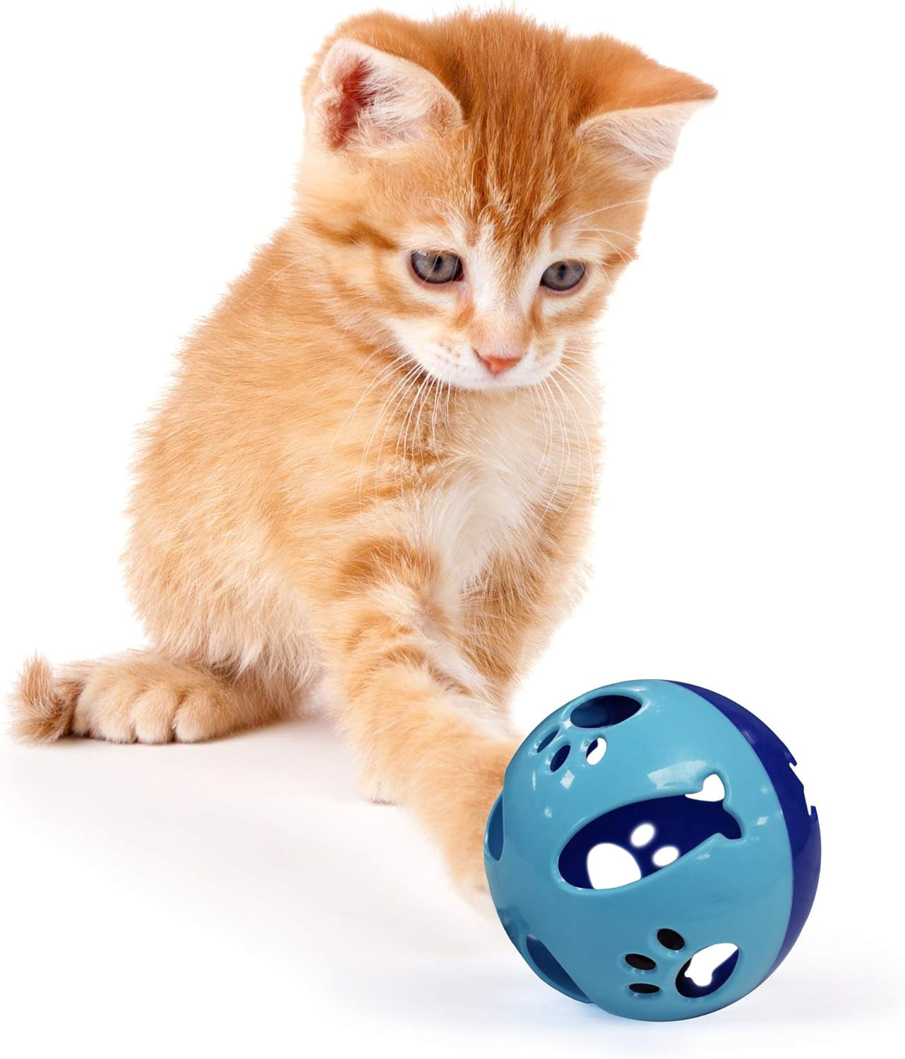 Large Size Cat Ball with Bell Toy for Cats Kittens and Other Animals - Hours of Play for Pets | Large Size for Extra Fun | Rings as It Moves