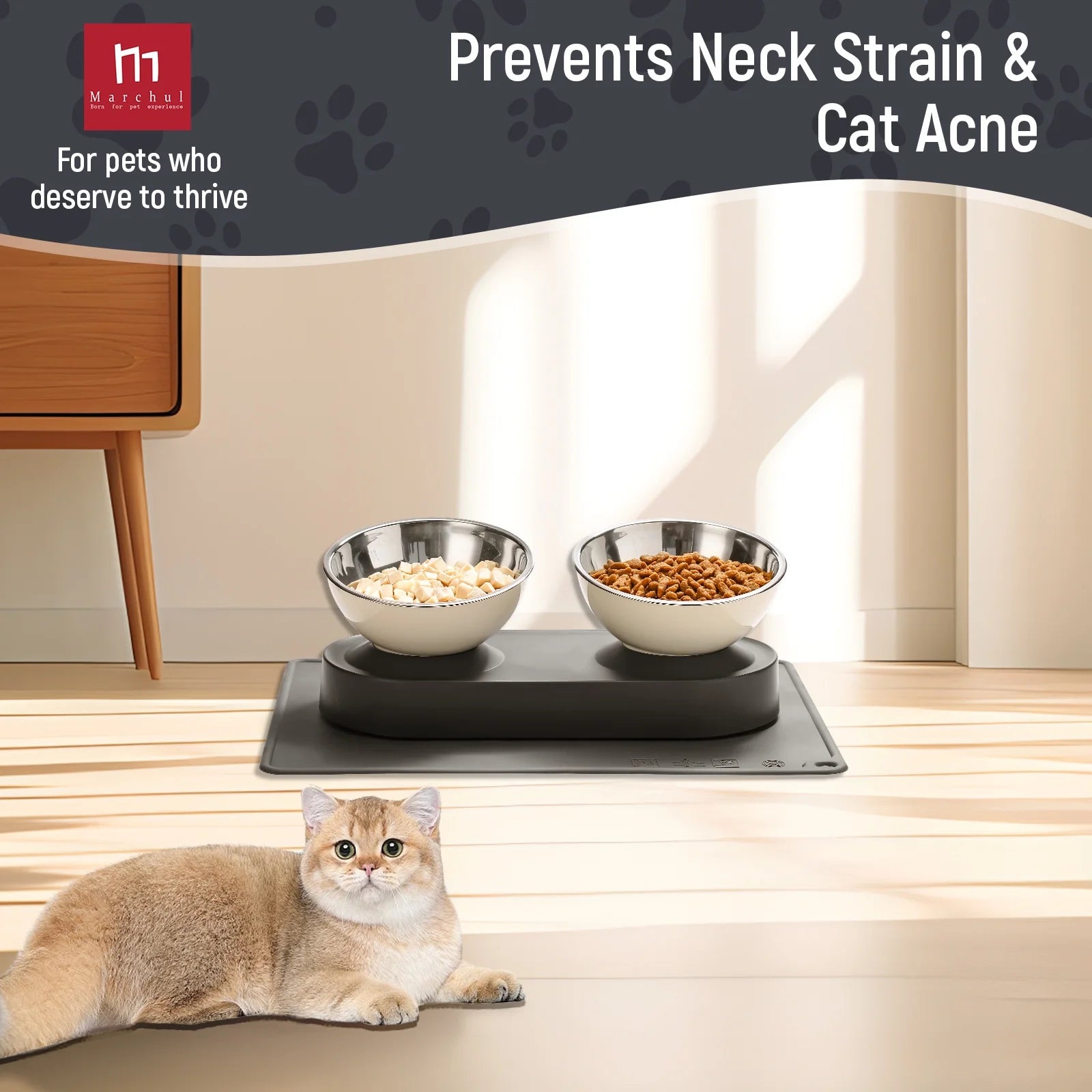 Stainless Steel Elevated Cat Bowls Set with Anti-Slip Mat
