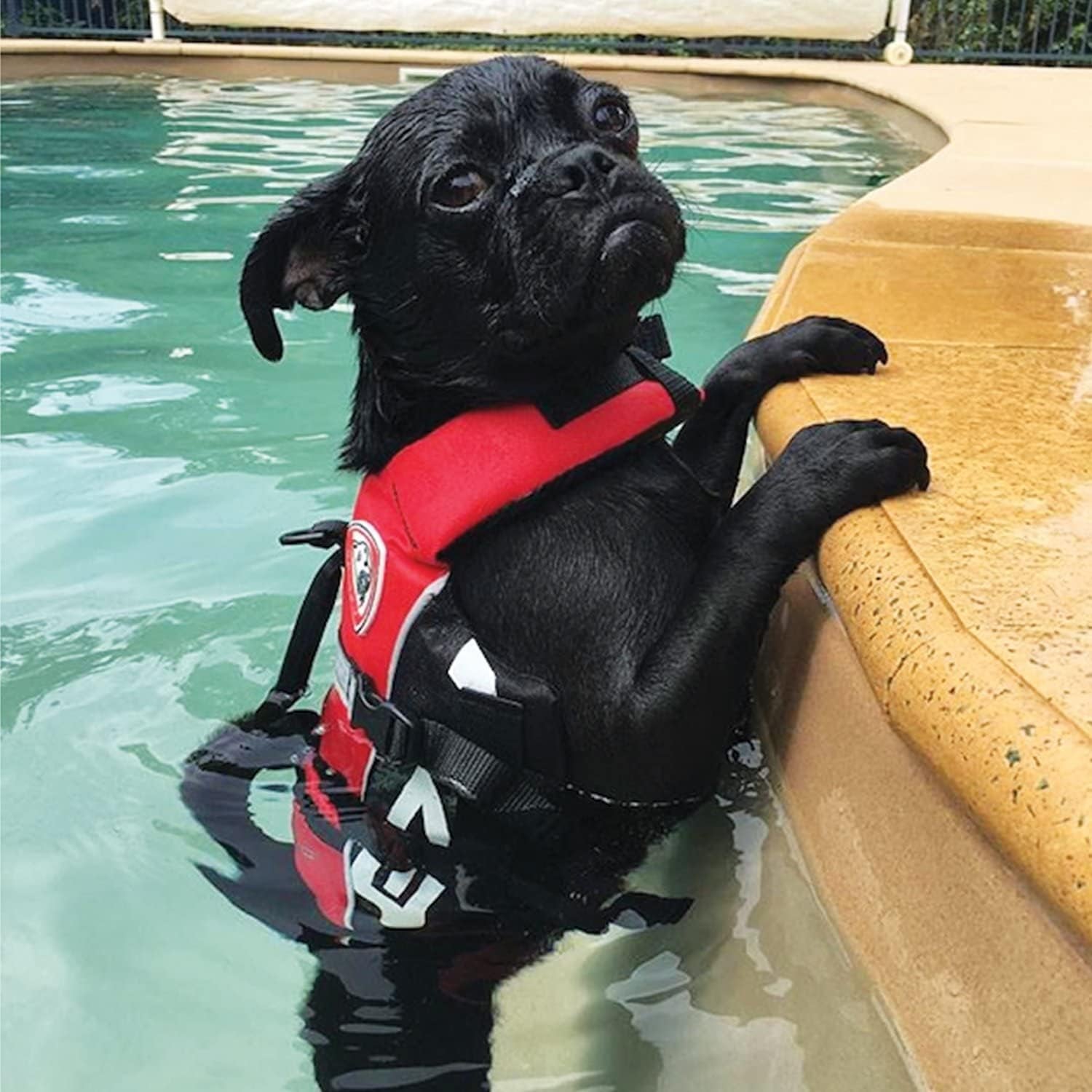 DFD Micro Dog Life Jacket for Small Dogs - Adjustable Swimming Safety Vest for Dogs under 15 Pounds with Reflective Trim & Durable Grab Handle (X-Small, Red)