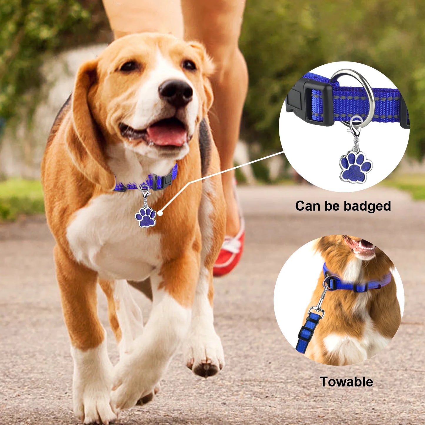 Dog Collar for Small Dog with Tag Reflective Soft Neoprene Padded Breathable and Adjustable Collar, Odour Resistant and Fast Drying-Blue-S