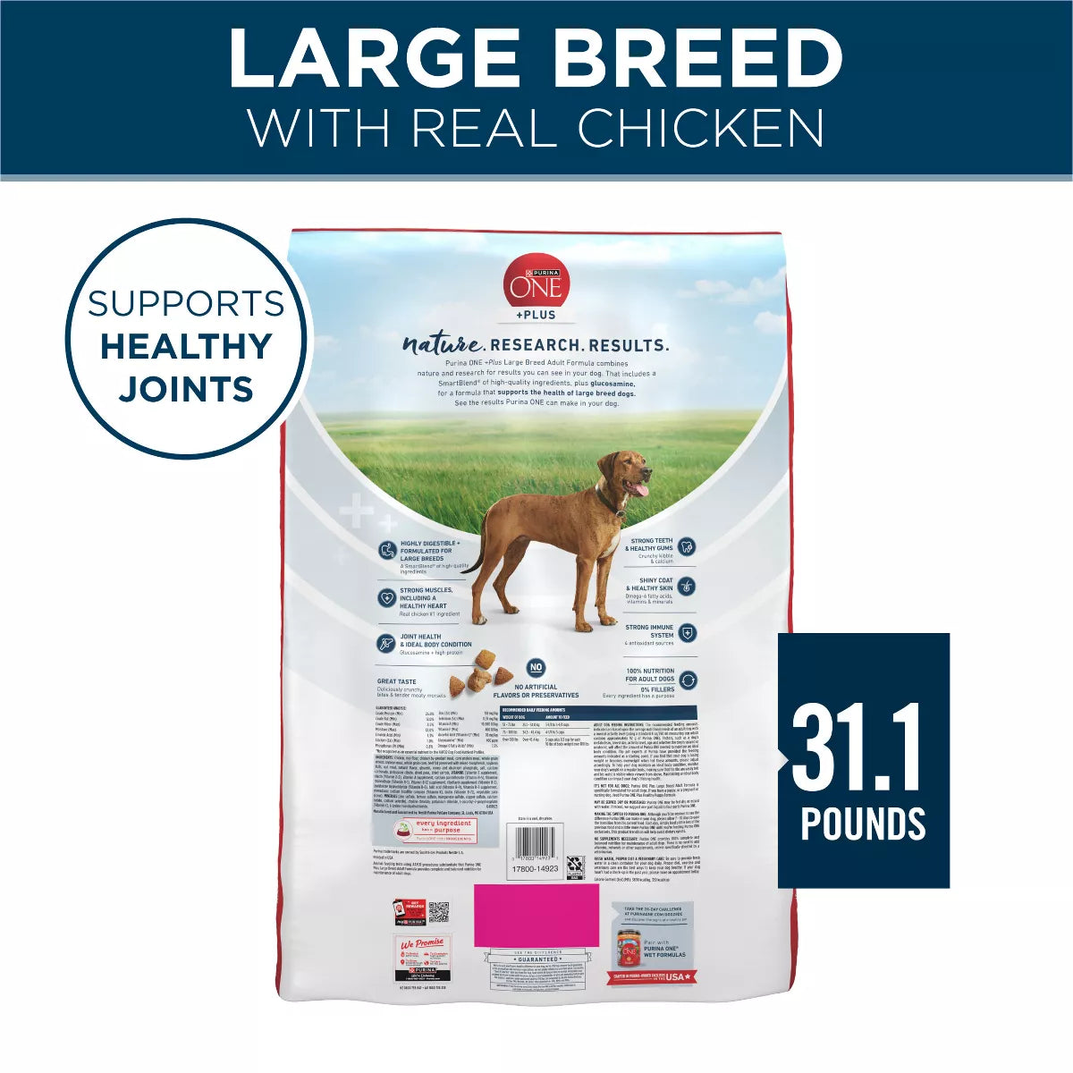Purina ONE Smartblend Large Breed Chicken Flavor Natural Dry Dog Food