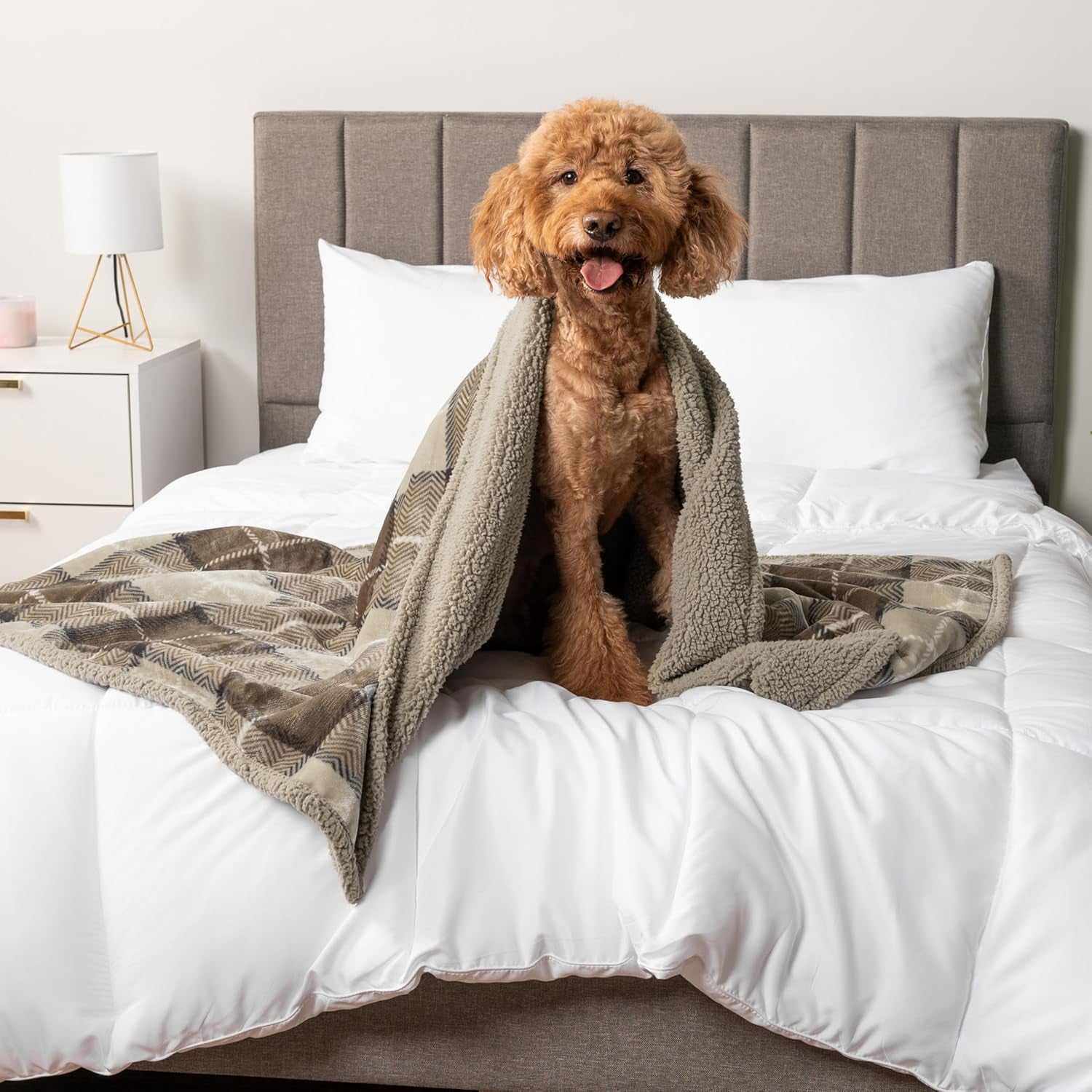 Waterproof Dog Blanket for Medium Large XL Dog Puppy Cat Throw for Couch Cover Leakproof Protection, Sherpa Fleece, Reversible Soft Washable 80X60 Plaid Taupe