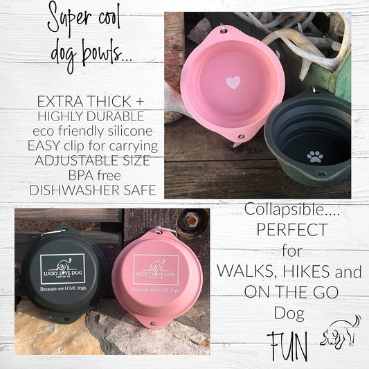 Travel Dog Bowl, Collapsible Compact Water Dog Dish, Rose