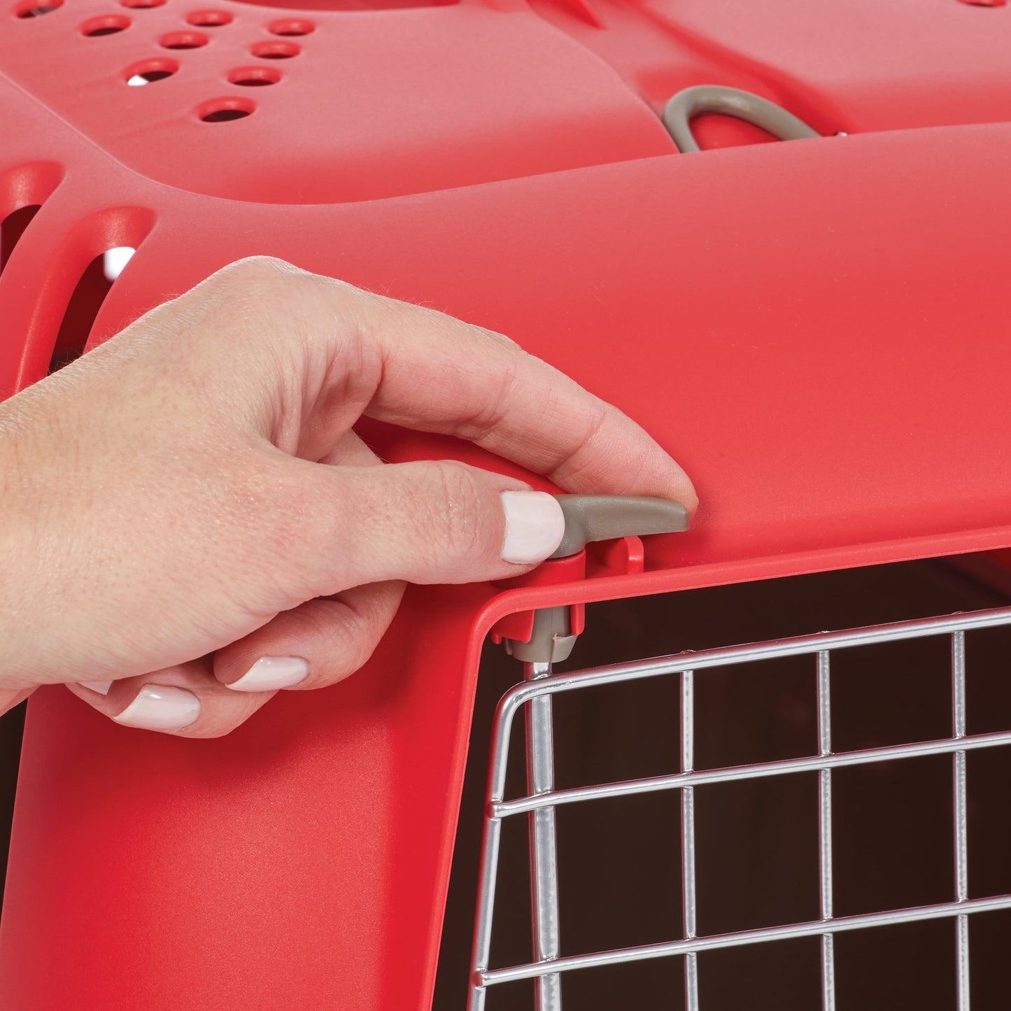 Spree Hard-Sided Pet Carrier, 24-Inch, Red, 1-Door