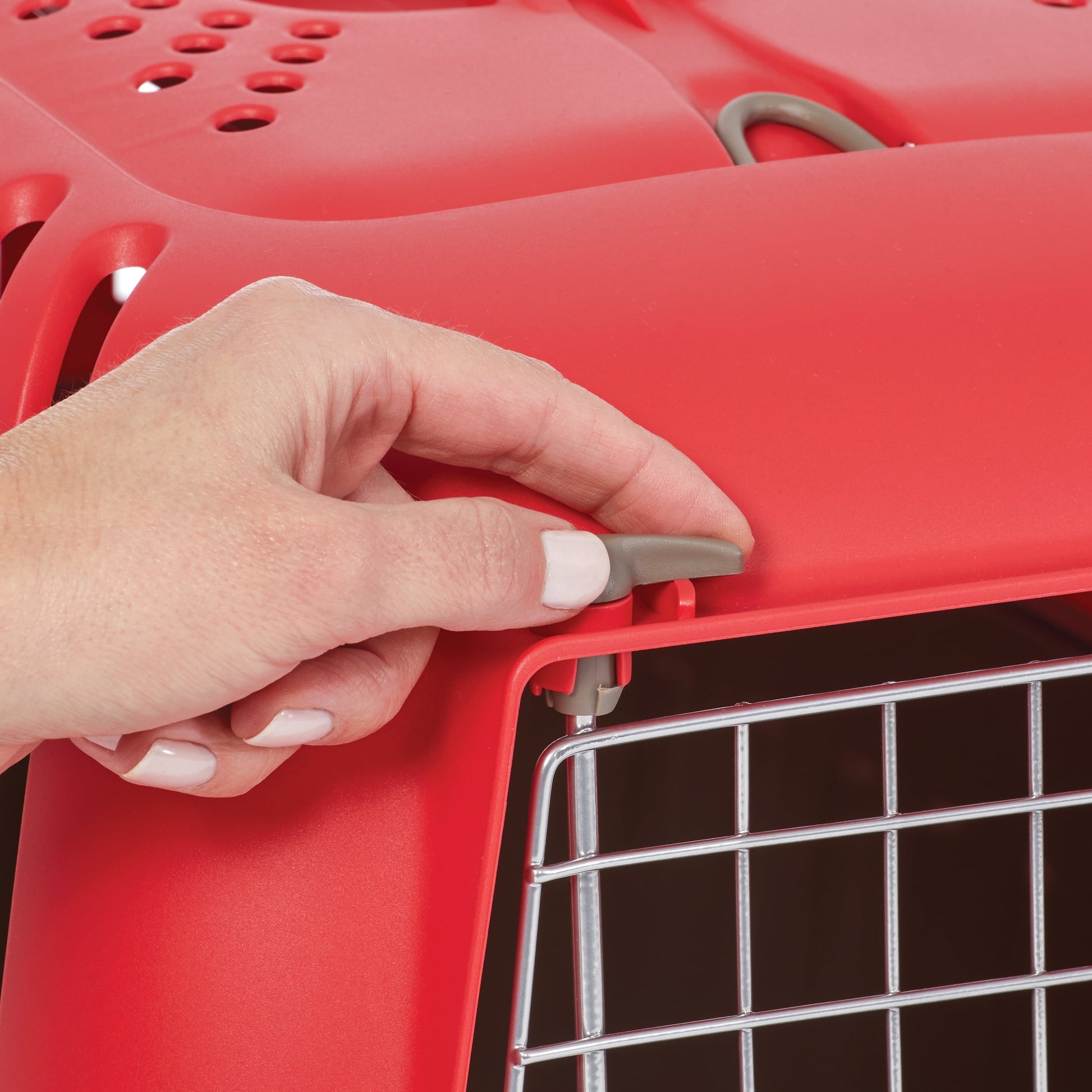 Spree Hard-Sided Pet Carrier, 24-Inch, Red, 1-Door