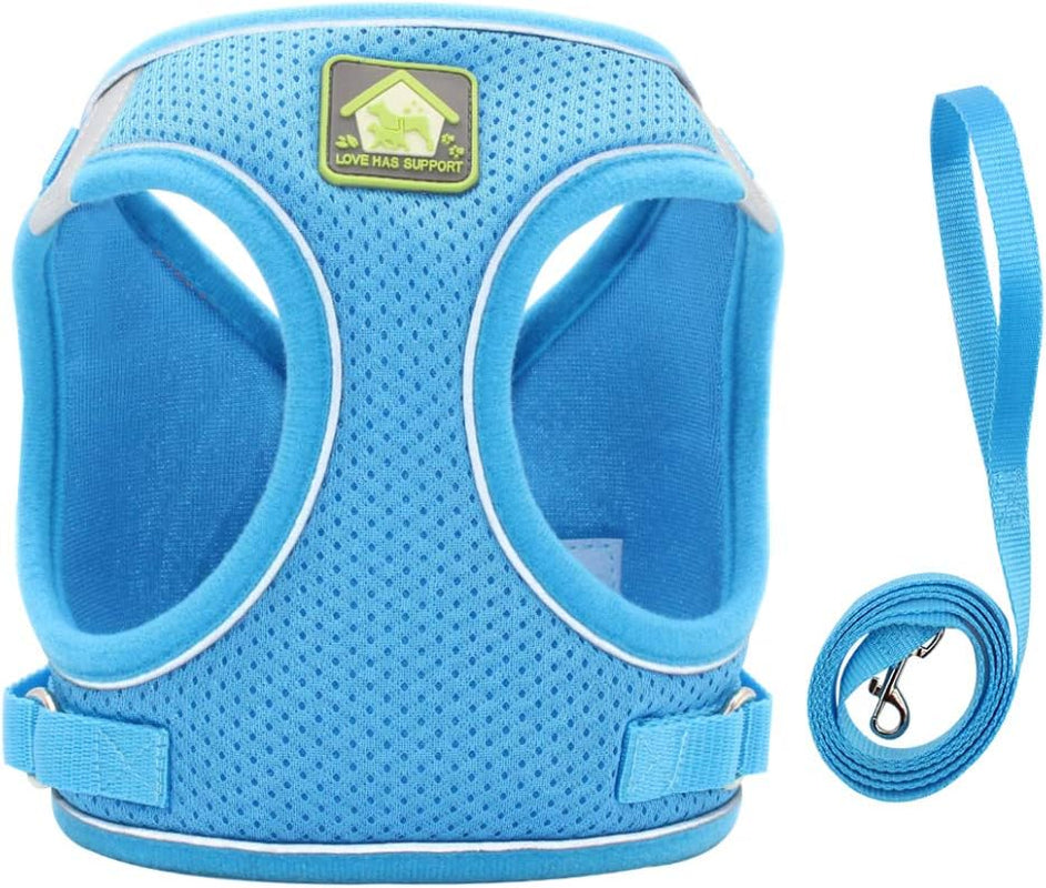 Dog Harness and Leash Set, No Pull Breathable Soft Mesh Puppy Vest Harness Reflective Adjustable Pet Harnesses for Small Medium Dogs and Cats - Outdoor Easy Control for Walking