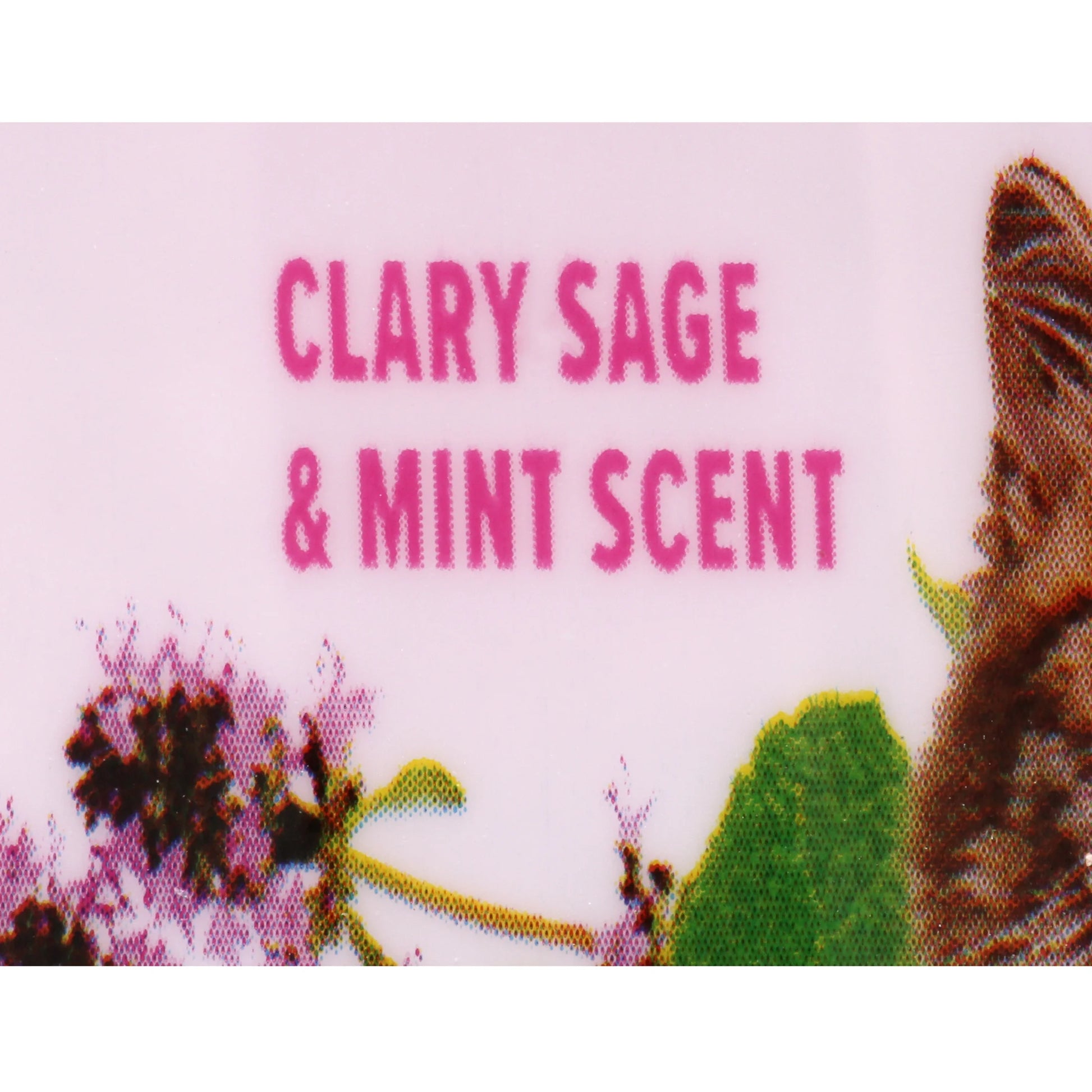 (12 Pack)  Deodorizing Cat Litter Crystals for Litter Boxes, Clary Sage & Mint Scent 15 Oz.
