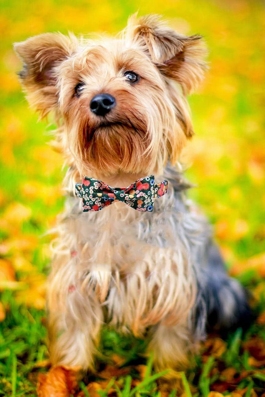 Floral Print Dog Collar Adjustable Soft Dog Collar with Bowtie, Girl Pet Collars for X-Small Small Medium Large Dogs