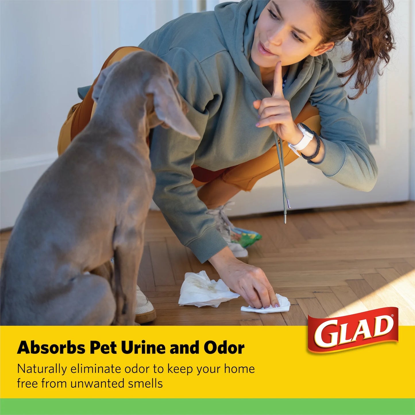 (4 Pack)  Giant Size Activated Charcoal Leak-Resistant Training Pads for Dogs, 30X36, 24 Count