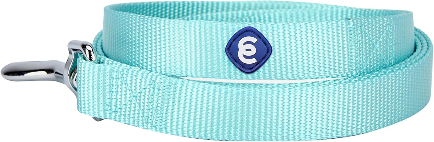 Essentials Mint Blue Dog Leash for Small -5' * 5/8" Dogs | Heavy Duty Nylon Lead | Lightweight Puppy & Cat Leash for Walking & Training