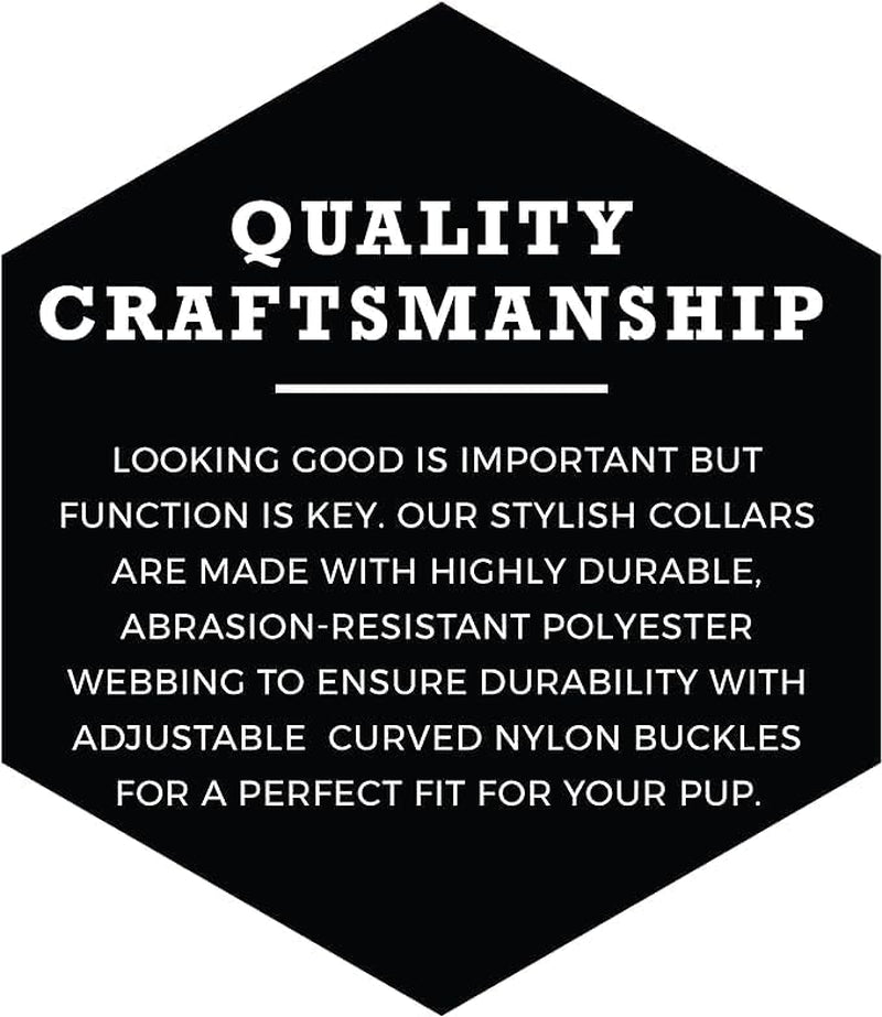 Wolfgang Heavy Duty, Adjustable Dog Collar with Quick Release Nylon Buckle for Walking & Training, Sunsetpalms Print, Medium