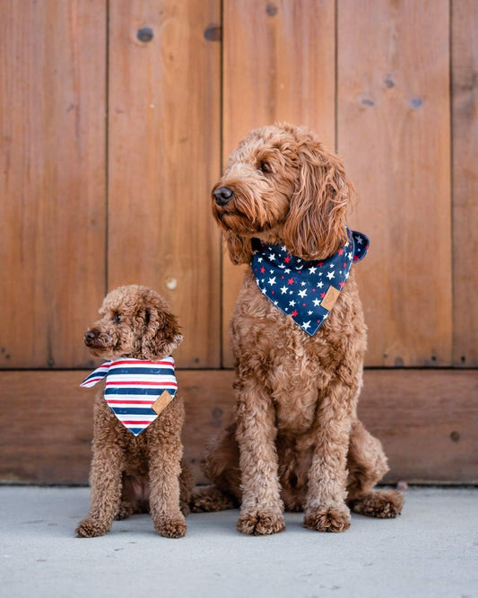 Dog Bandanas - 2 Pack | Stars+Stripes Set | Premium Durable Fabric | Unique Shape | Adjustable Fit | Multiple Sizes Offered | (Small)