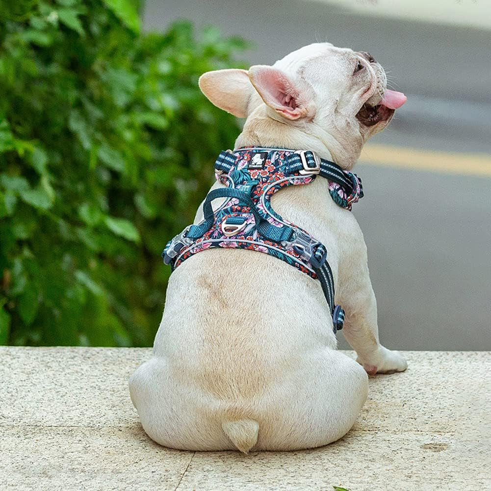 No Pull Dog Harness Reflective Dog Vest Harness with Handle Front Clip Neoprene Padded Dog Harness for Puppy Small Medium Large Dogs 3 Buckles Easy to Put on & Take off Floral Blue XS
