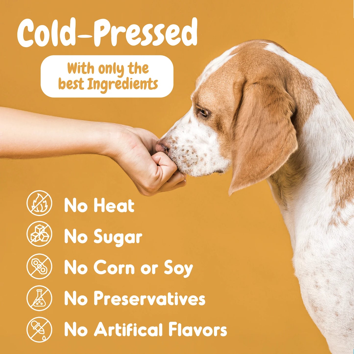 Probiotic Chews, Tasty Soft Chew Probiotics for Dogs, Chicken Flavor, 60 Count