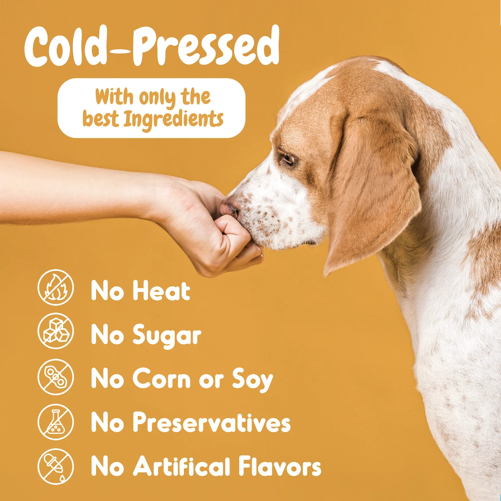 Probiotic Chews, Tasty Soft Chew Probiotics for Dogs, Chicken Flavor, 60 Count