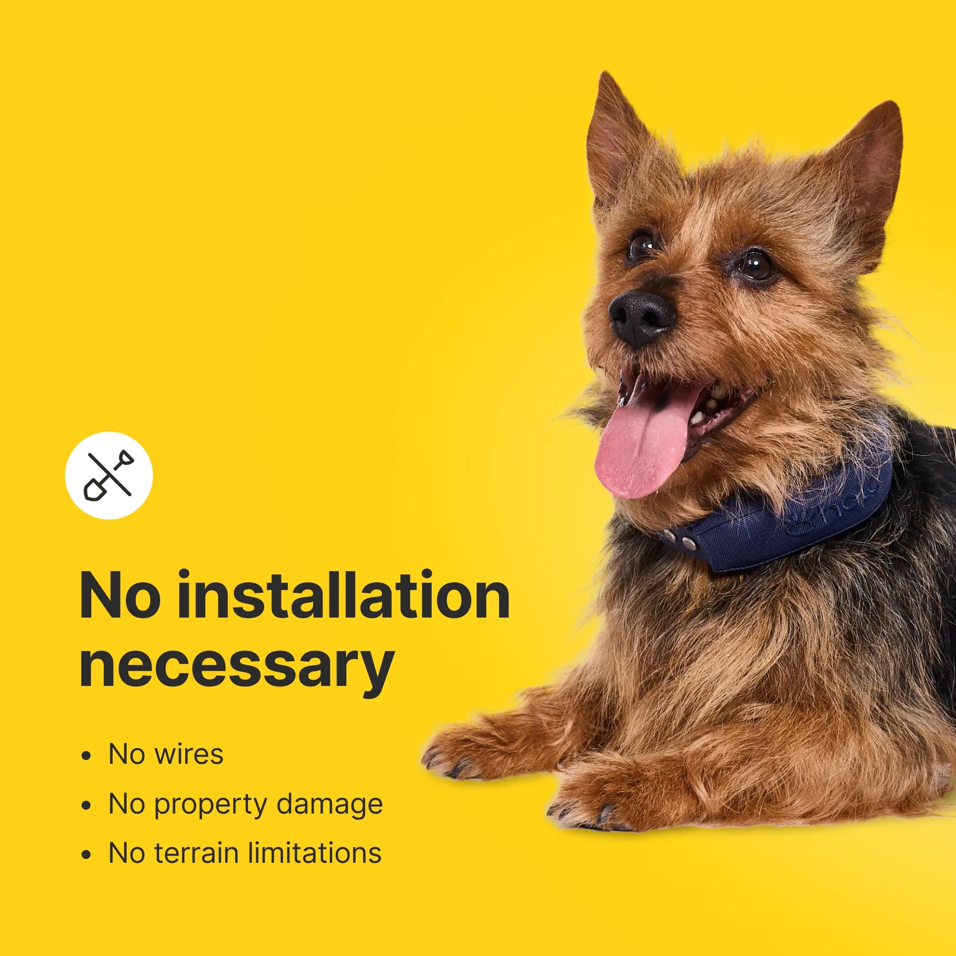 Halo Collar 4, All New GPS Wireless Dog Fence with Real-Time Tracking (Orchid)