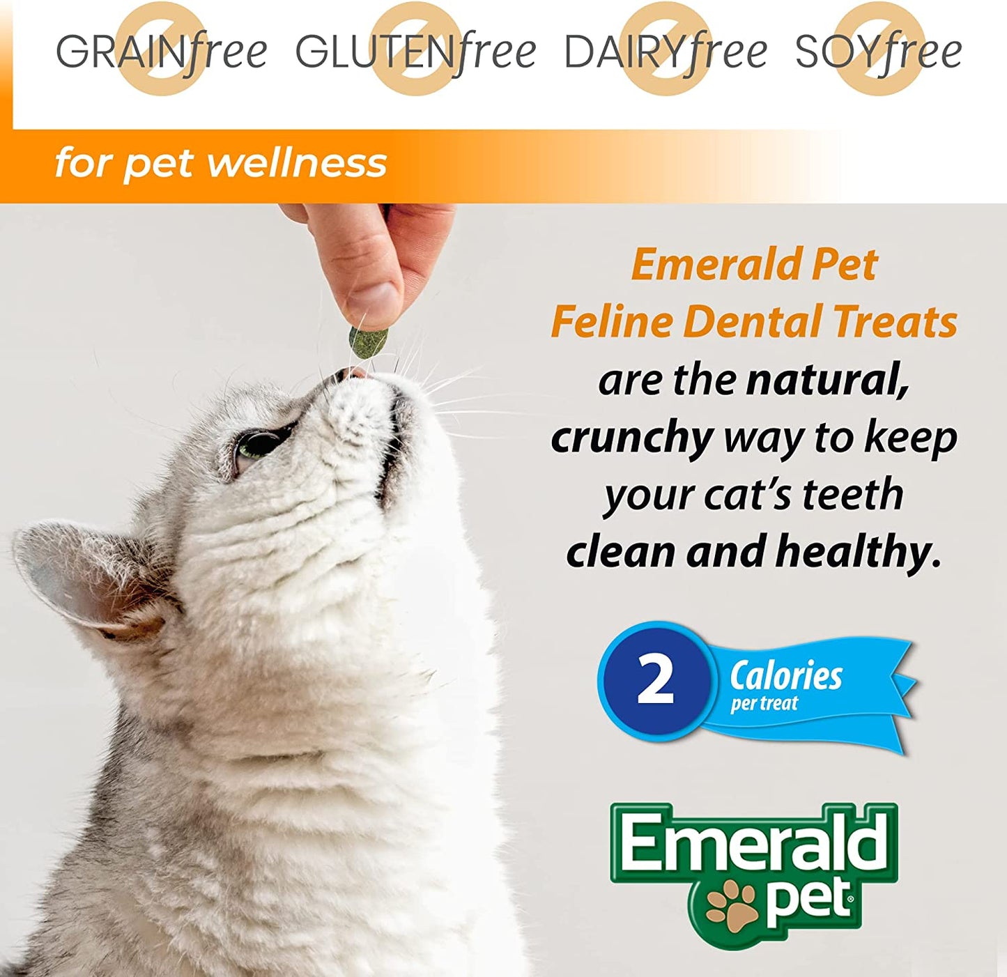 Cat Dental Treat Tub Salmon