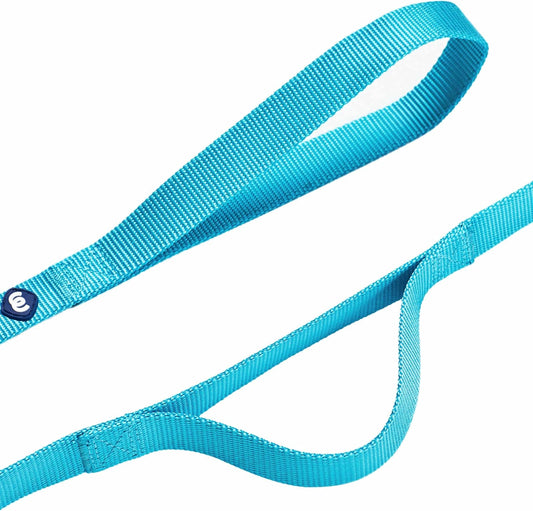 Essentials Double Handle Dog Leash for Traffic Control | 5Ft. X 3/4" Medium Dog Leash | Classic Dog Leash with Two Handles for Dogs That Pull | Nylon 2 Handle Dog Leash in Turquoise