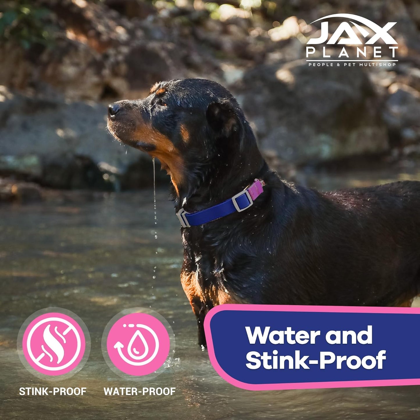 Jelly Waterproof Martingale Dog Collar, No Pull Nylon Collar with Alloy Metal Buckle & D-Ring for Outdoor Training and Walking, anti Pull, Escape Free, One Time Adjustment - Blue & Rose, M