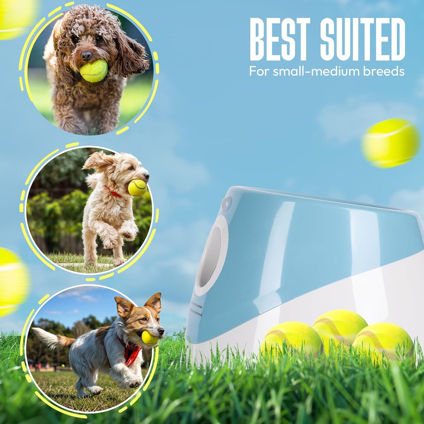 Automatic Dog Ball Launcher for Small Dogs – Dog Ball Thrower Fetch Machine - Indoor Outdoor Interactive Toy with 3 Mini Tennis Balls 2 Inch