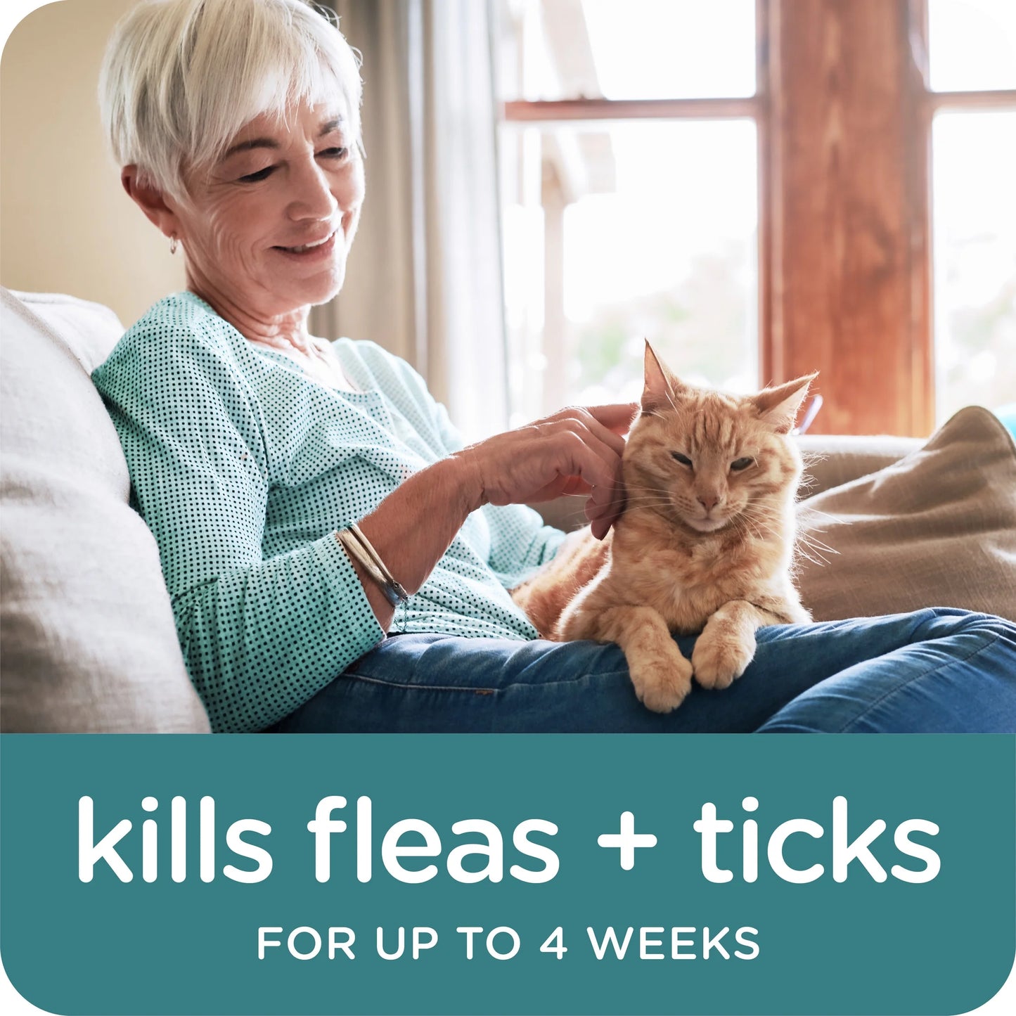 GUARDIAN Flea & Tick Topical for Cats, 6 Lbs and Over, 3 Count