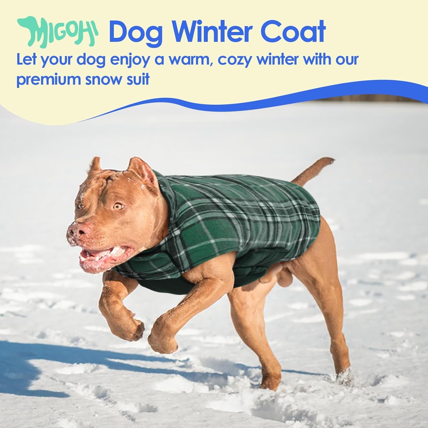 Dog Jackets for Winter, Reversible, Windproof, Waterproof Jackets in Plaid, Warm Vest for Medium Dogs, Green, M