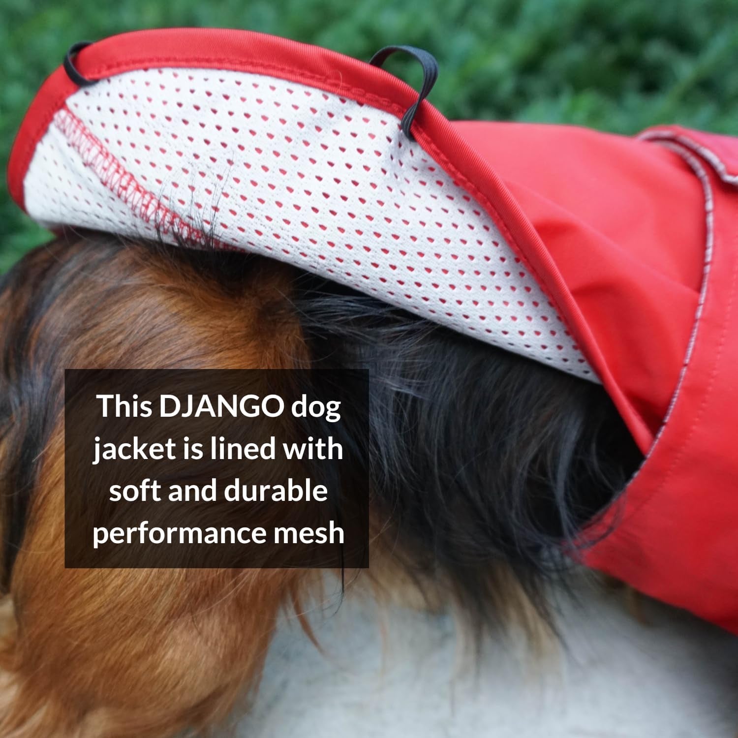 Dog Jacket & Raincoat – Lightweight Water-Resistant Coat for Small, Medium & Long Dogs like Dachshunds – Reflective, Adjustable Fit, Harness-Compatible & Easy-Access Harness Hole - Red, Small