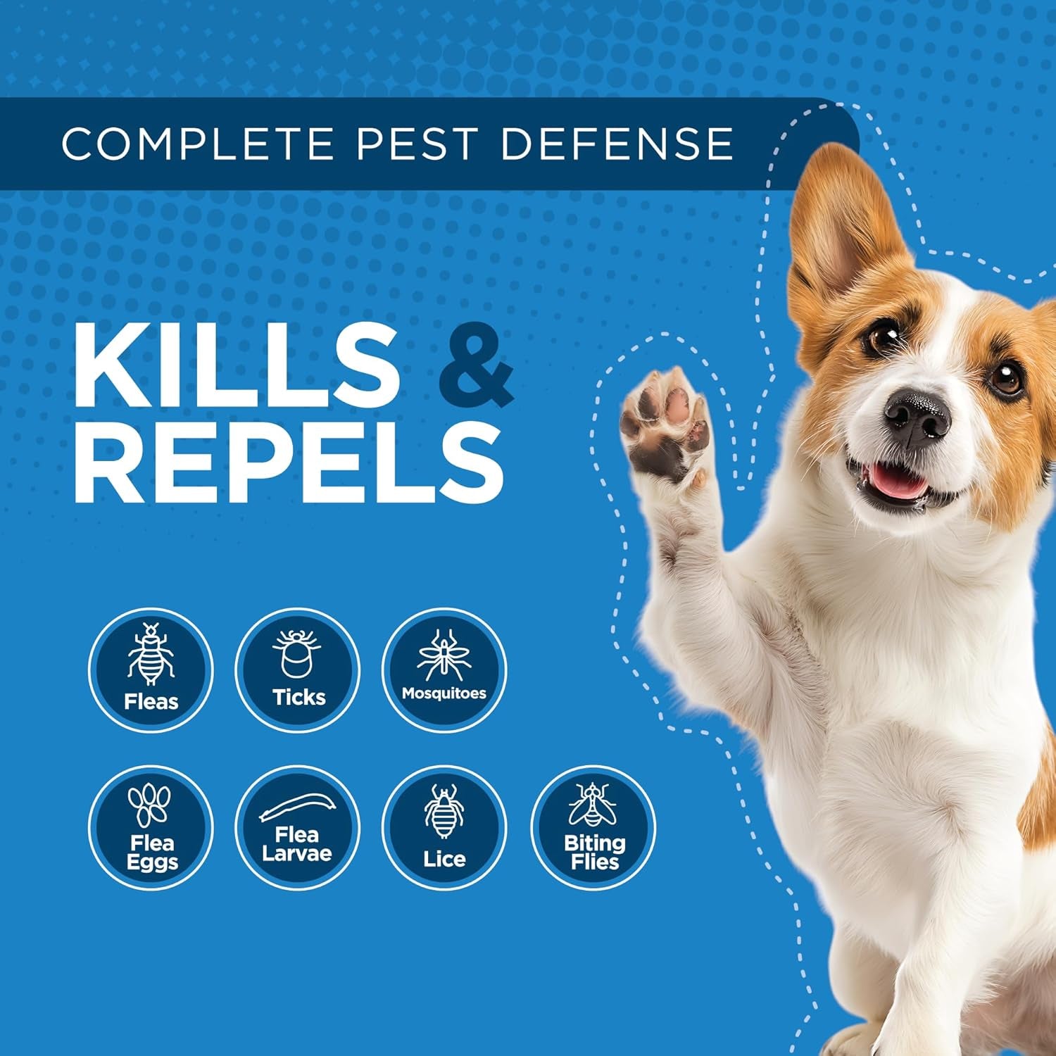Activate II Flea and Tick Prevention for Dogs | 4 Count | Medium Dogs 11-20 Lbs | Topical Drops | 4 Months Flea Treatment